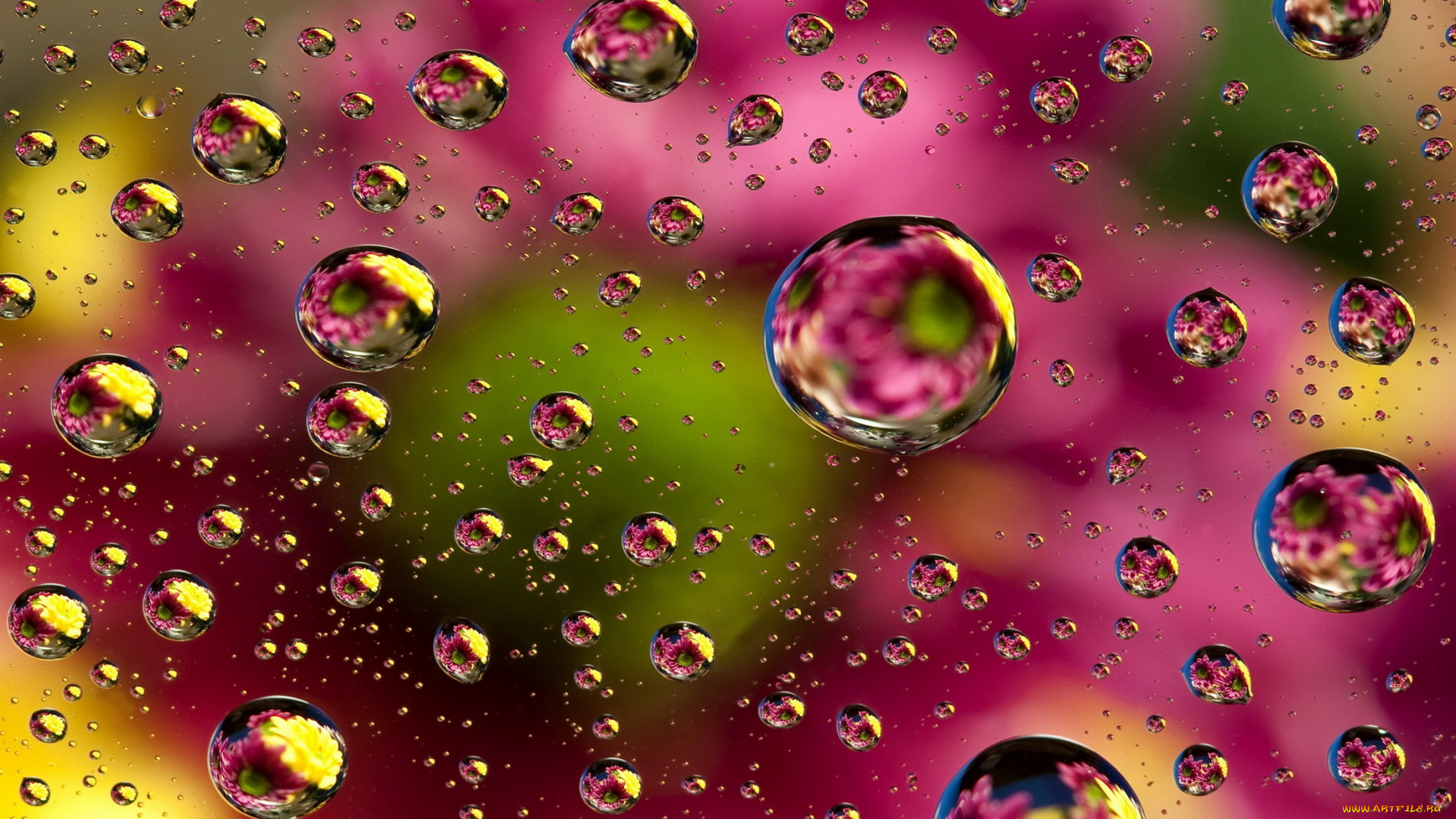 разное, капли, , брызги, , всплески, floral, colorful, пузыри, bubbles, background, colors, abstract, абстракция, фон