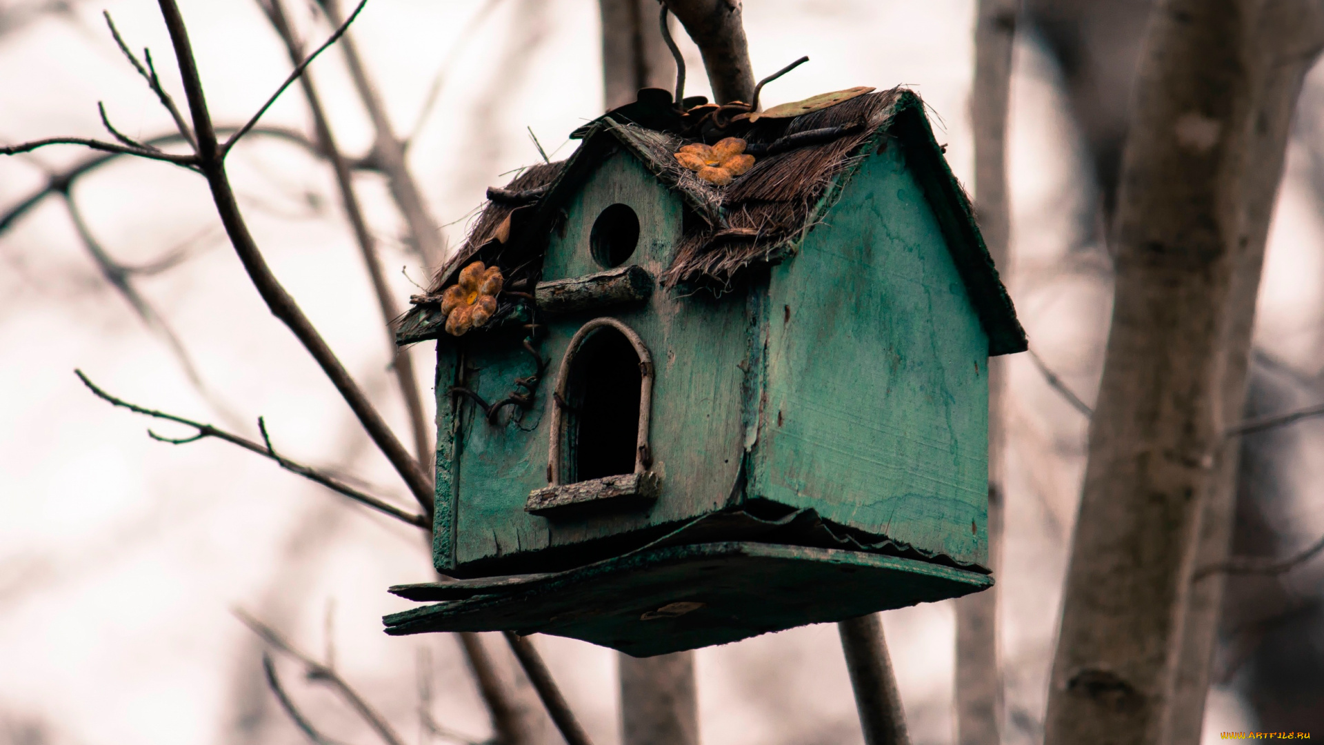 разное, ремесла, , поделки, , рукоделие, грусть, скворечник, old, house