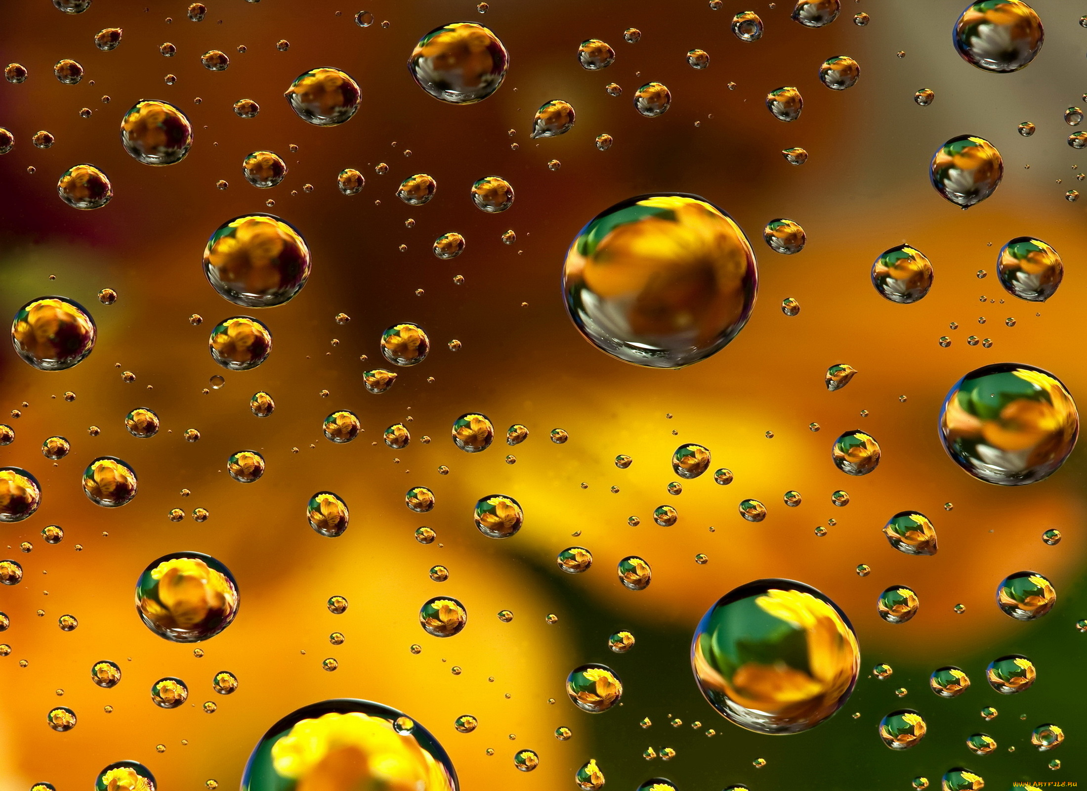 разное, капли, , брызги, , всплески, background, colors, abstract, пузыри, абстракция, фон, bubbles, floral, colorful