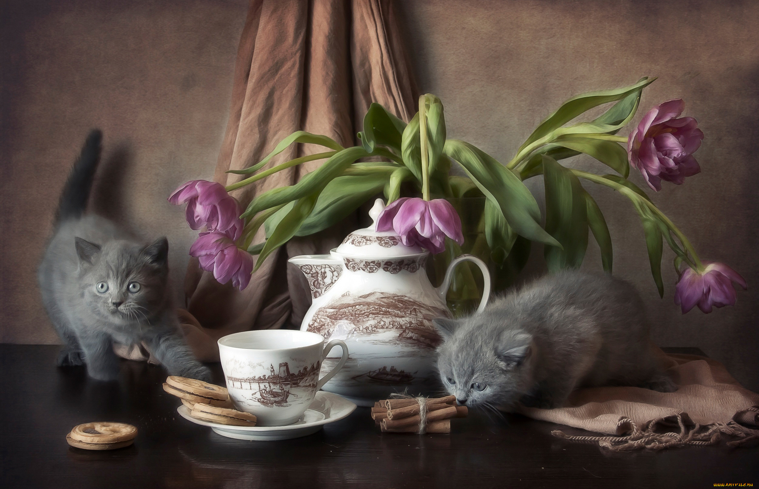 животные, коты, котята, стол, печенье, цветы