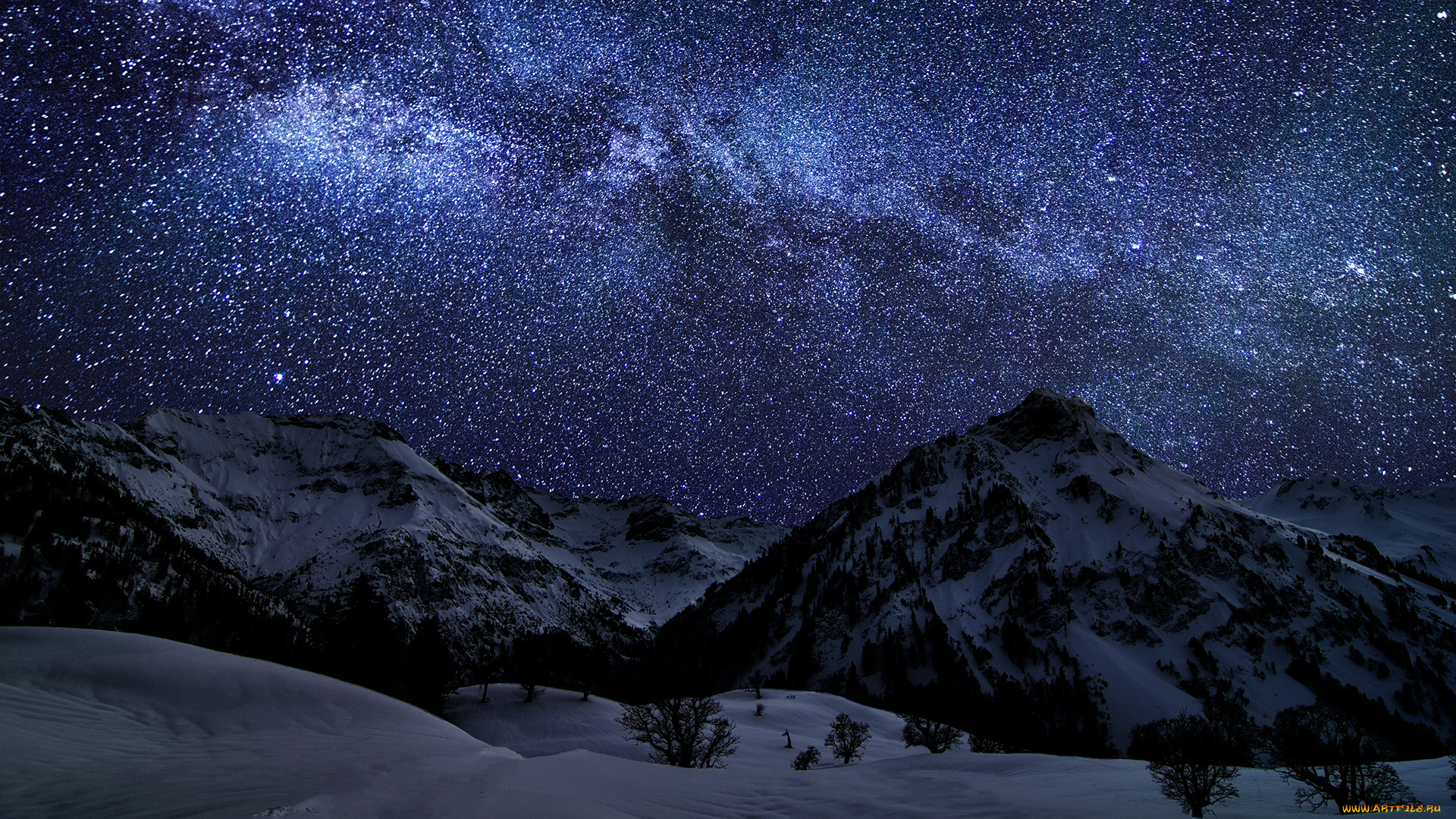 природа, горы, звезды, ночь, кусты, снег, скалы, зима, небо