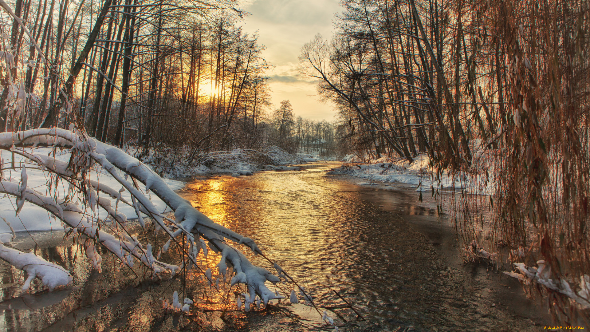 природа, реки, озера, река, лес