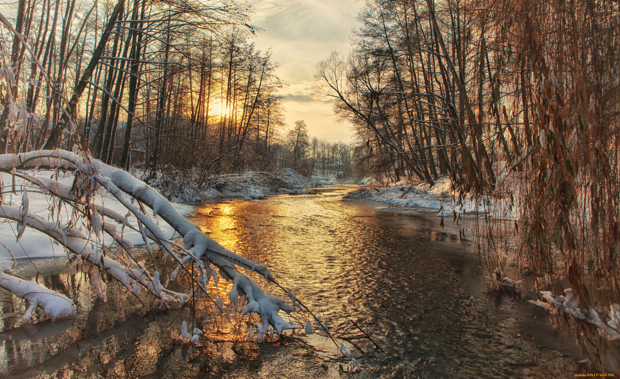 природа, реки, озера, река, лес