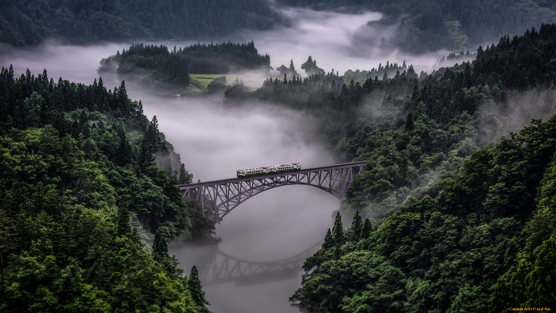природа, пейзажи, tadami, line, in, japan, лес, поезд, река, мост, горы