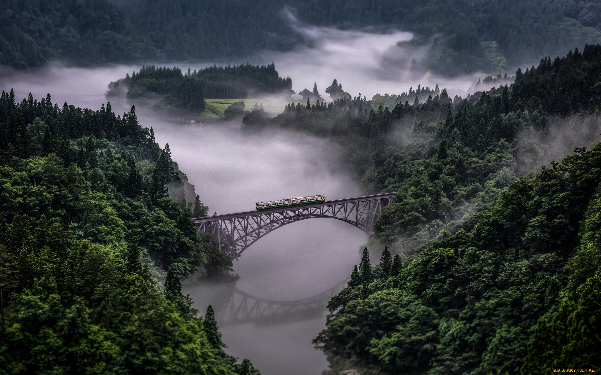 природа, пейзажи, tadami, line, in, japan, лес, поезд, река, мост, горы