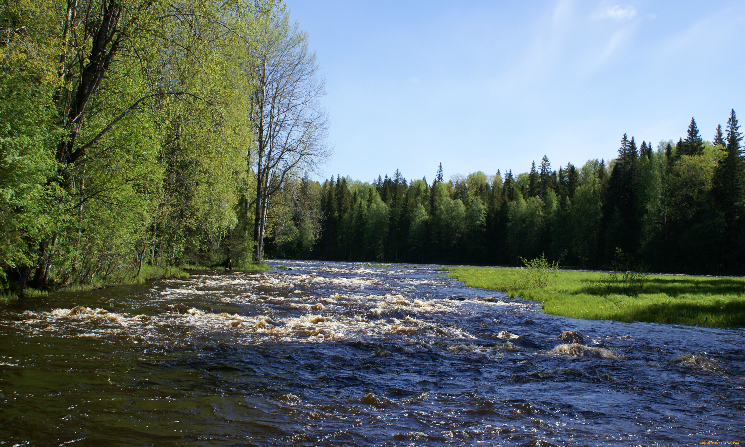 lena, природа, реки, озера, пейзаж, лес, вода, река