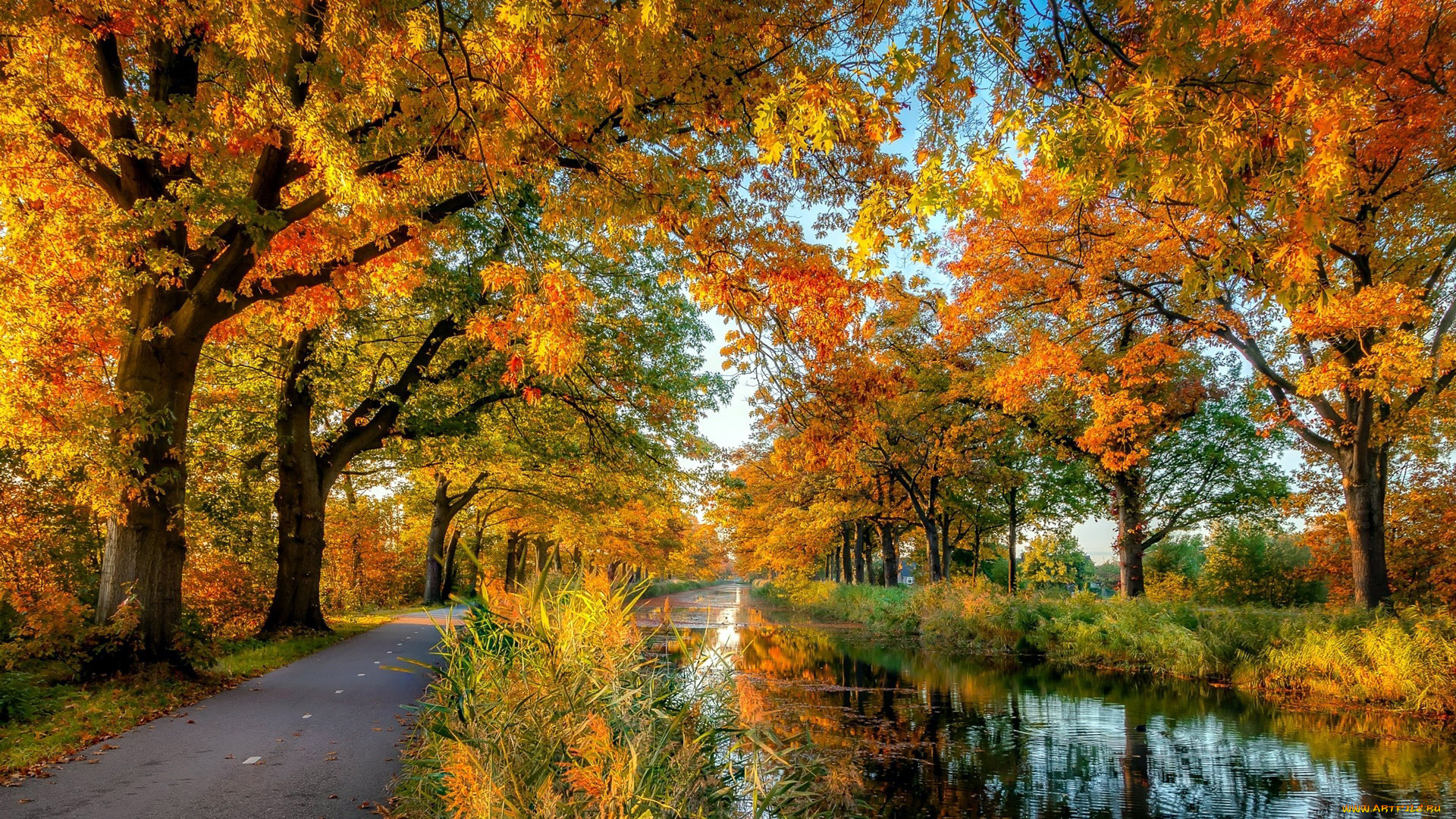 природа, дороги, дорога, река, осень
