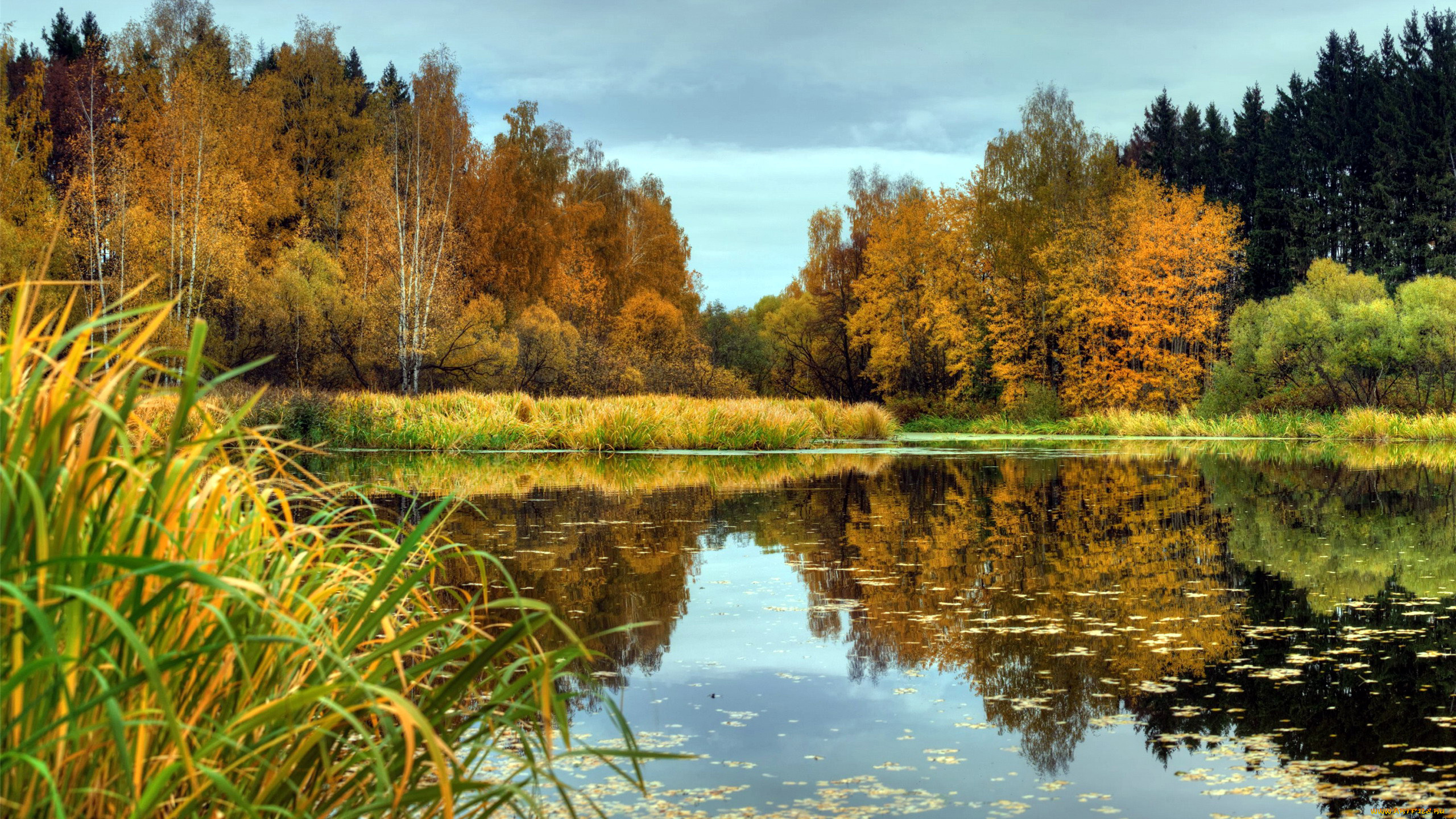 природа, реки, озера, река, деревья, осень