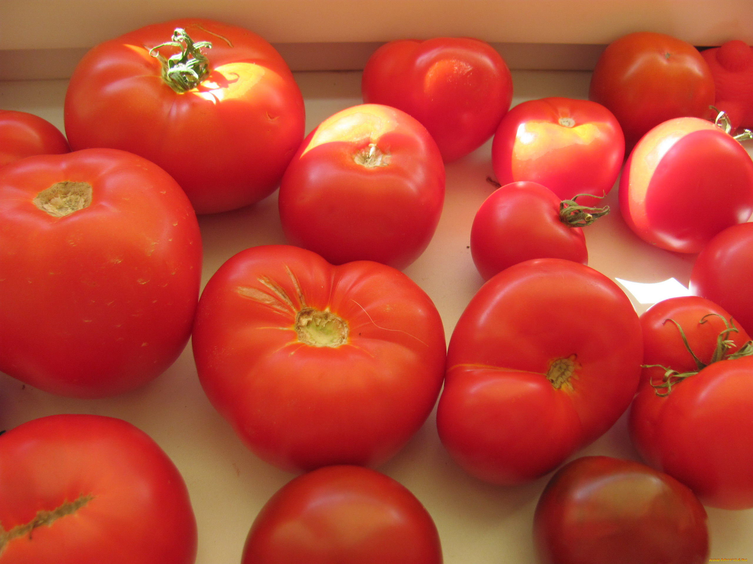 еда, помидоры, урожай, томаты