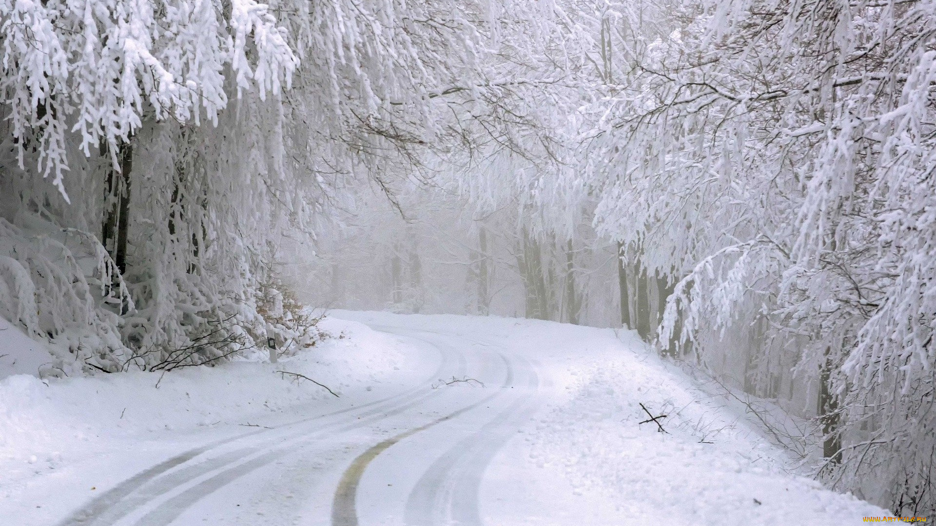 природа, дороги, зима, снег
