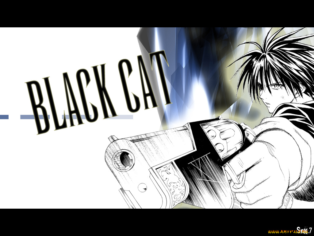 black, cat, аниме
