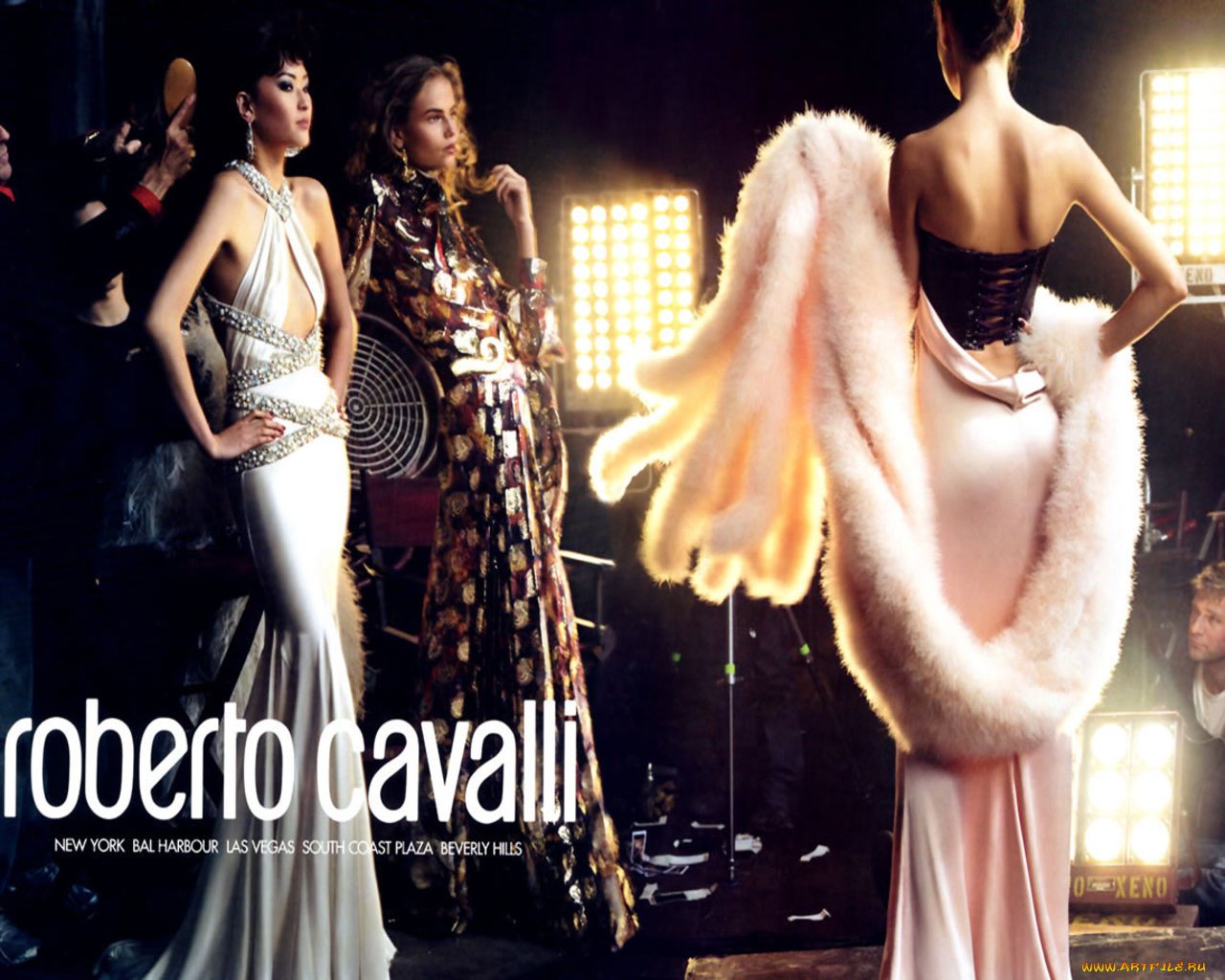 roberto, cavalli, бренды