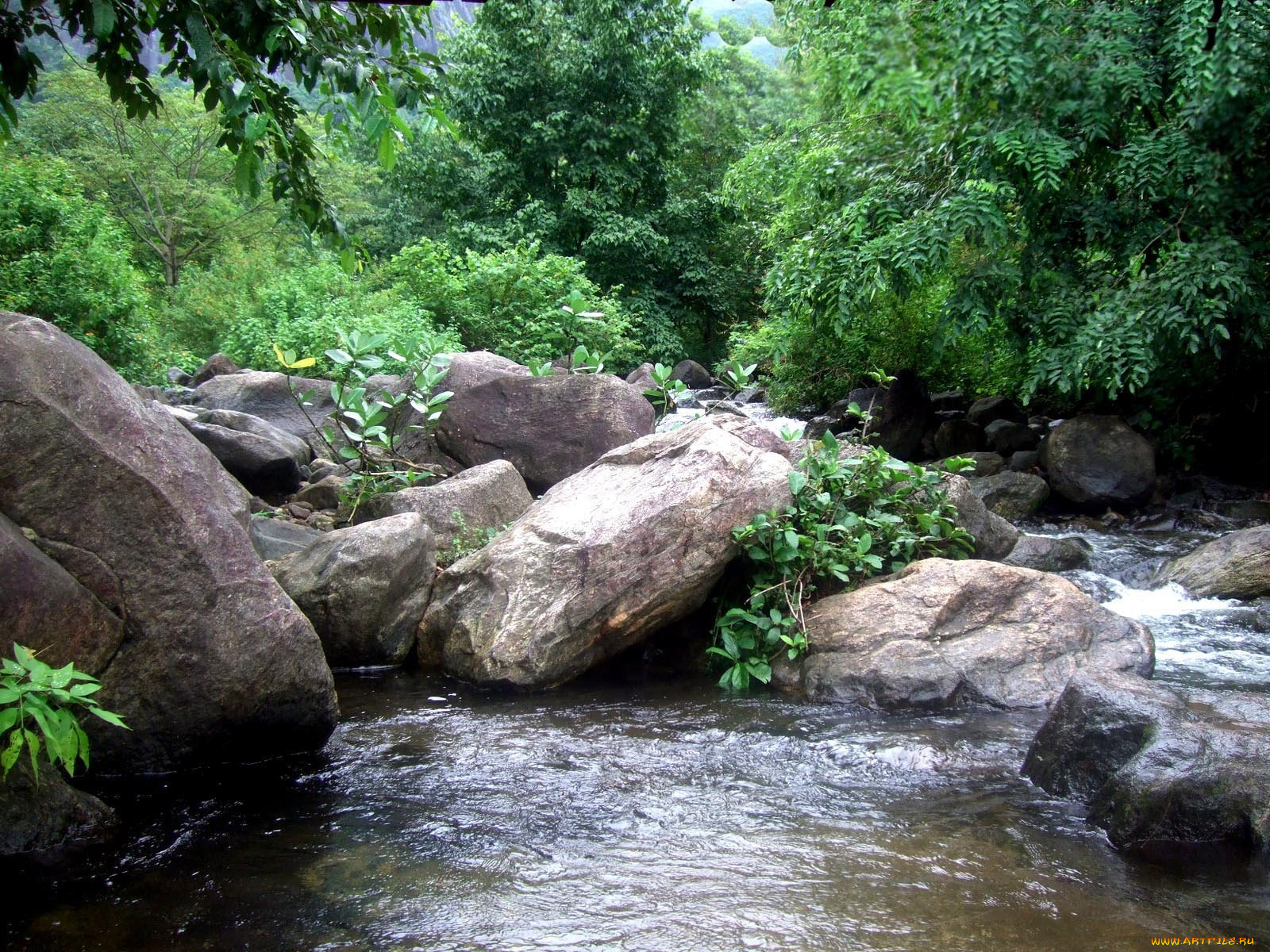 природа, реки, озера, камни, вода