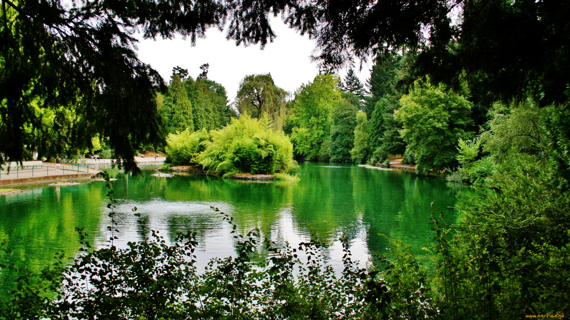 природа, парк, зелень, водоем