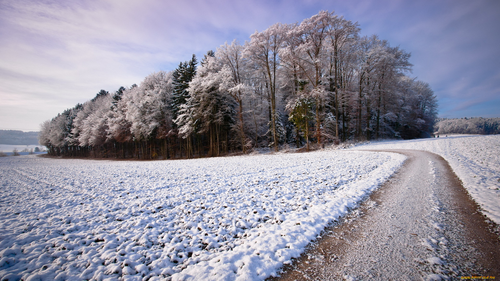 природа, зима, снег, деревья, дорога, лес