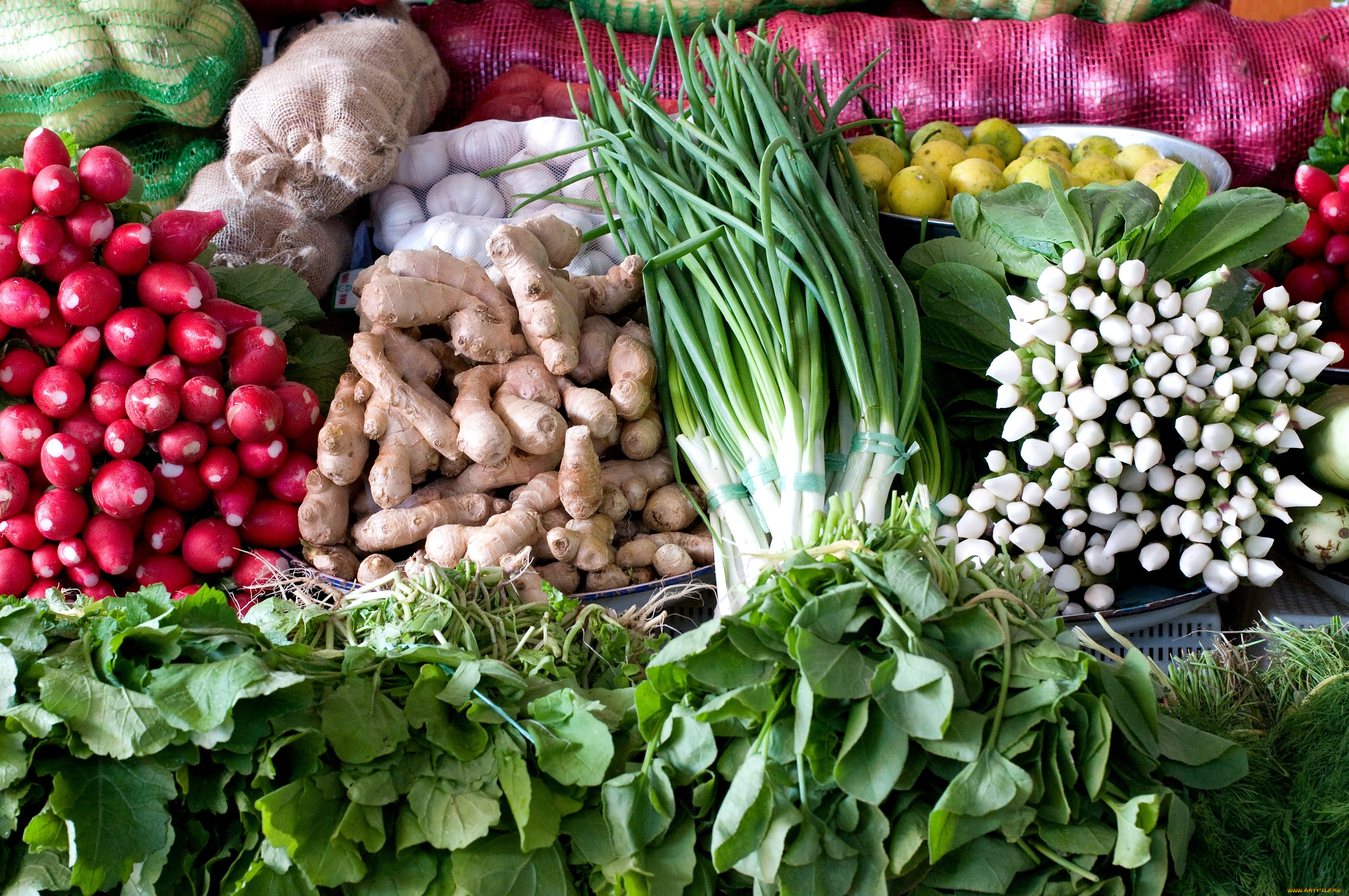 еда, овощи, редис, зелень, лук, имбирь