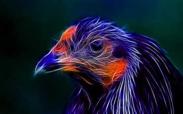 Картинка 3д графика animals животные птица фрактал