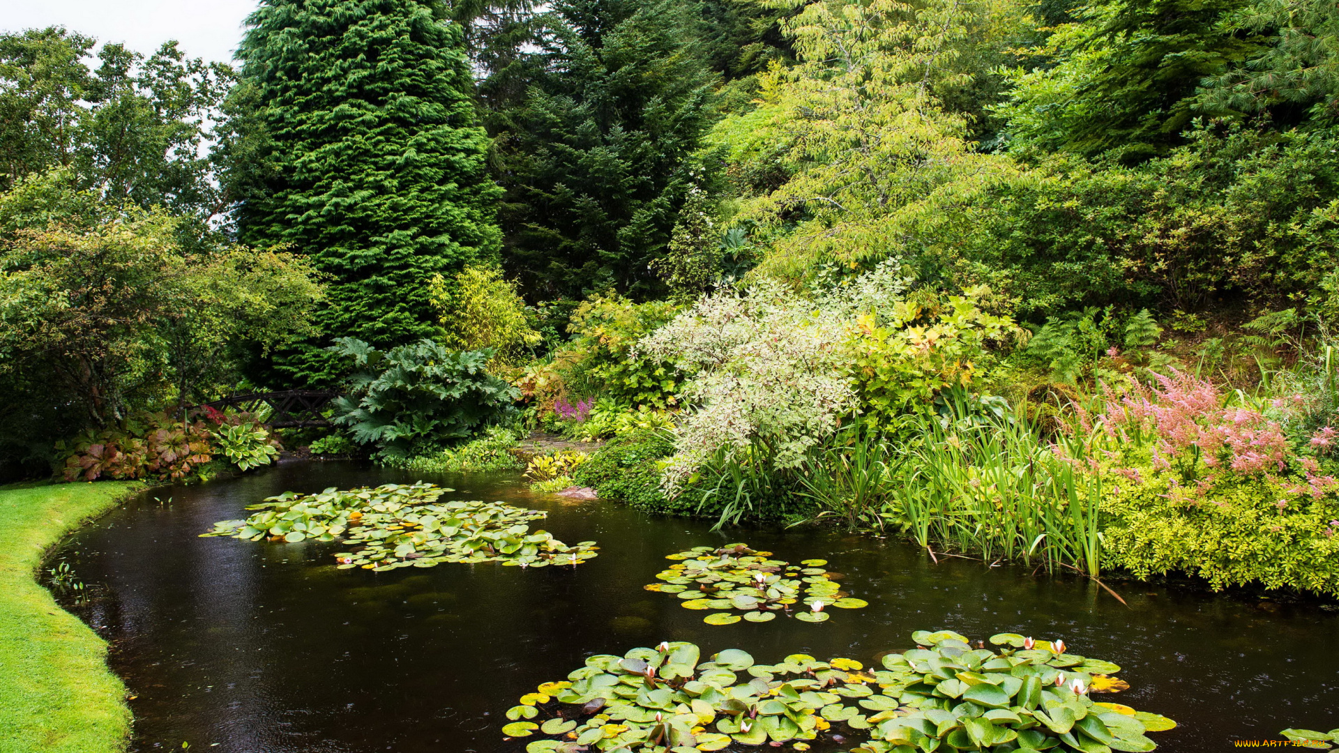 природа, парк, attadale, gardens, strathcarron, scotland