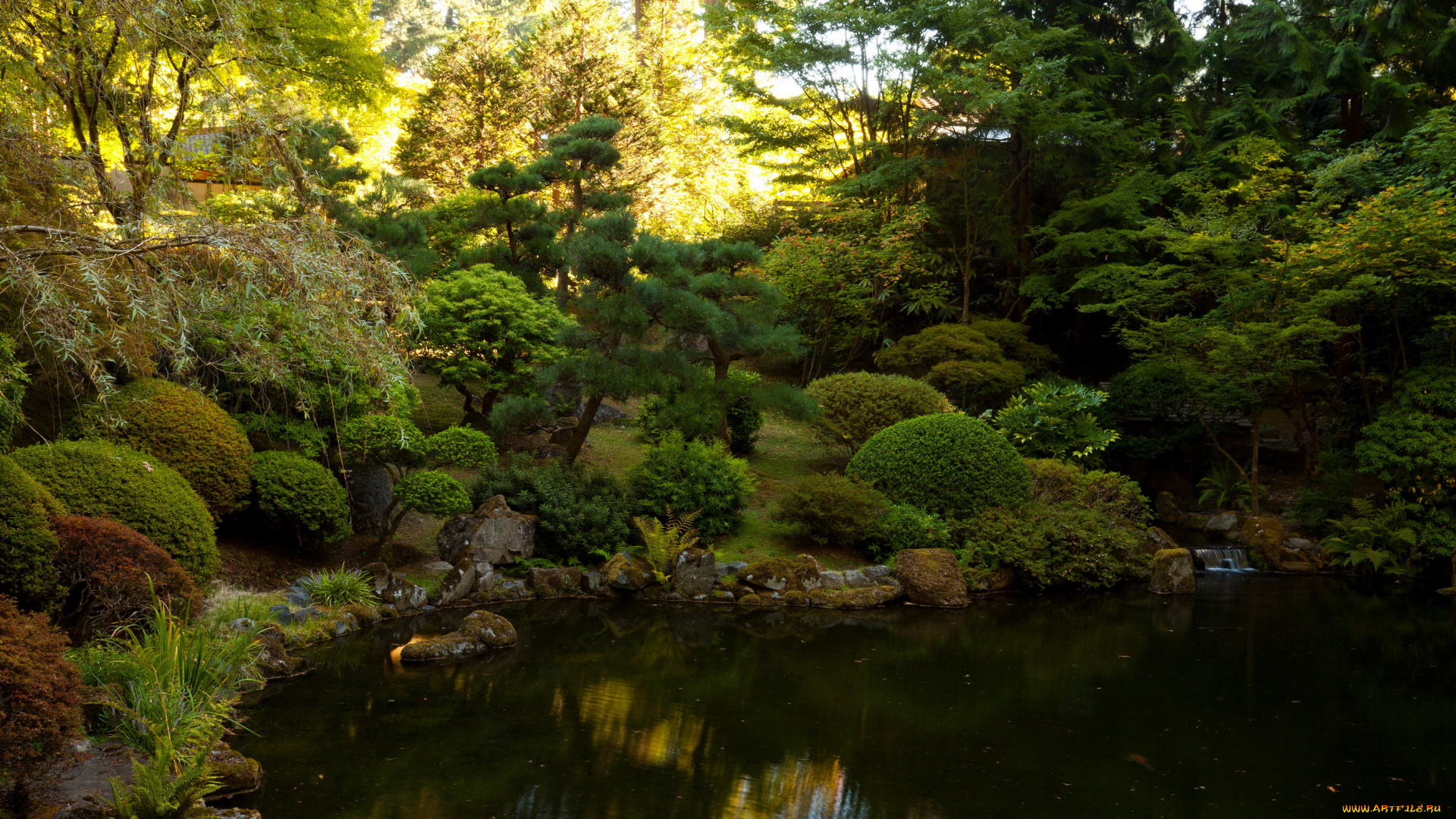 Японский, сад, портленд, сша, природа, огонь, сад, пруд, кусты, деревья