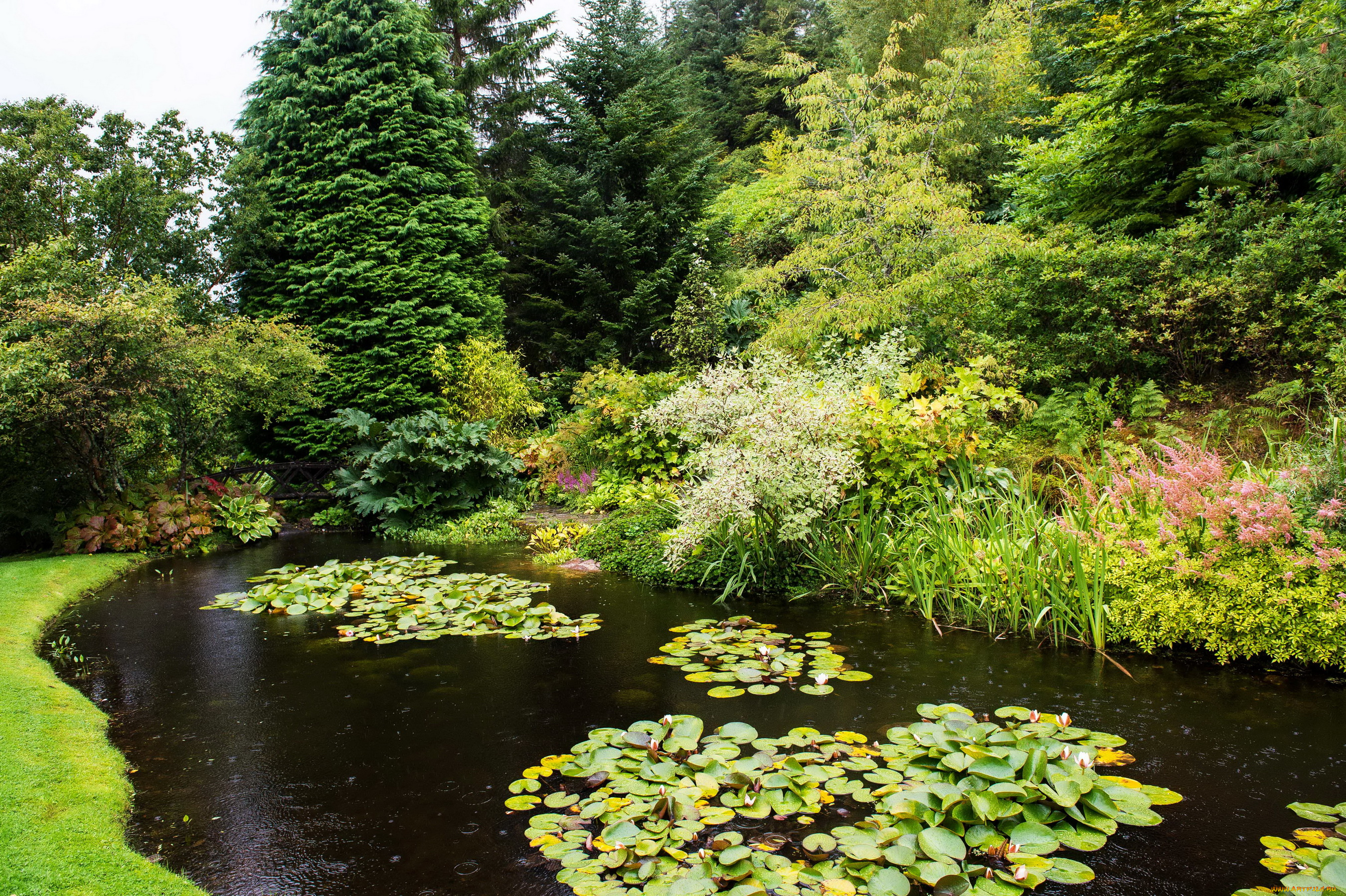 природа, парк, attadale, gardens, strathcarron, scotland