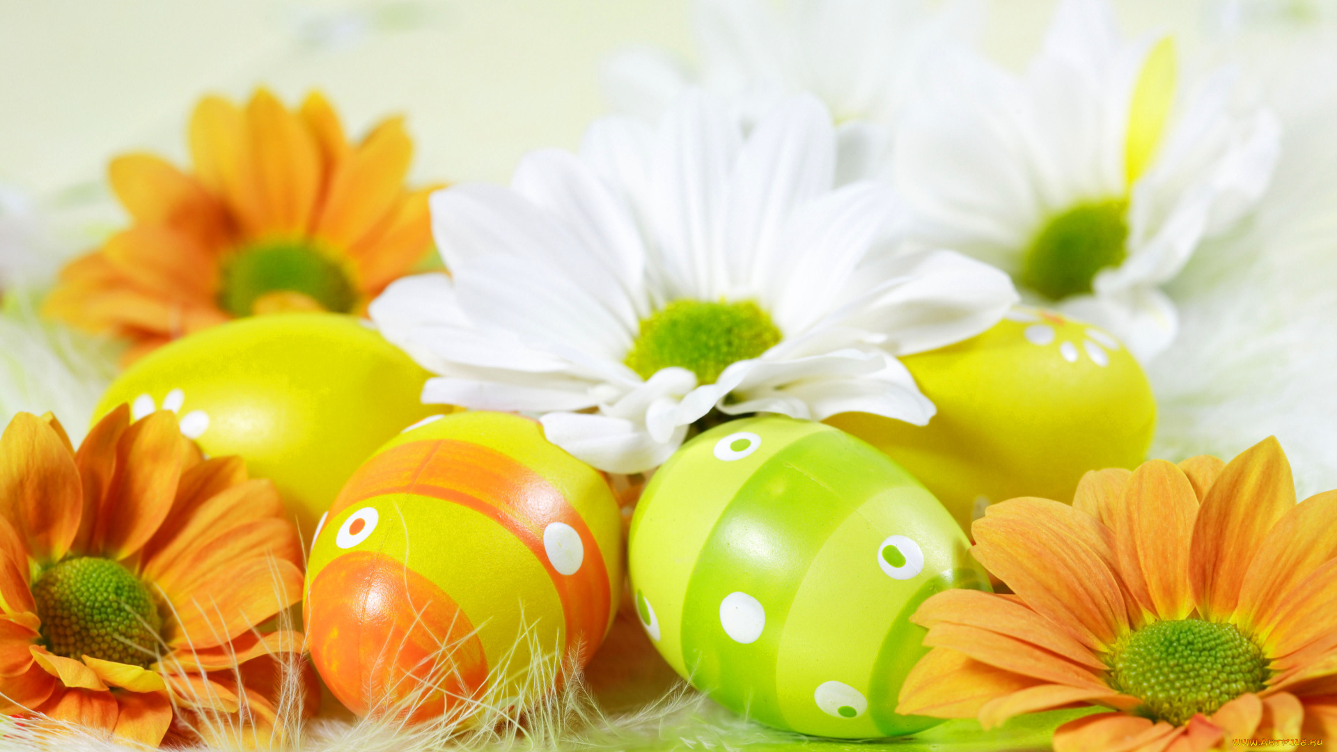праздничные, пасха, белые, оранжевые, яйца, цветы