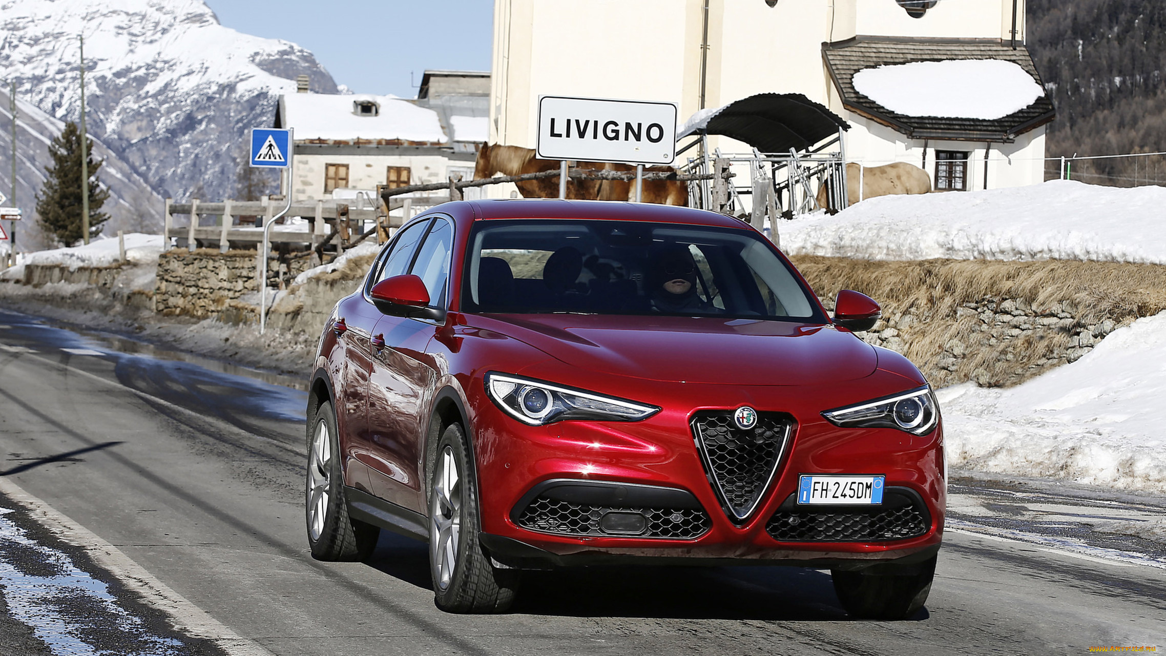 alfa, romeo, stelvio, 2018, автомобили, alfa, romeo, зима, снег, 2018, stelvio, alfa, romeo