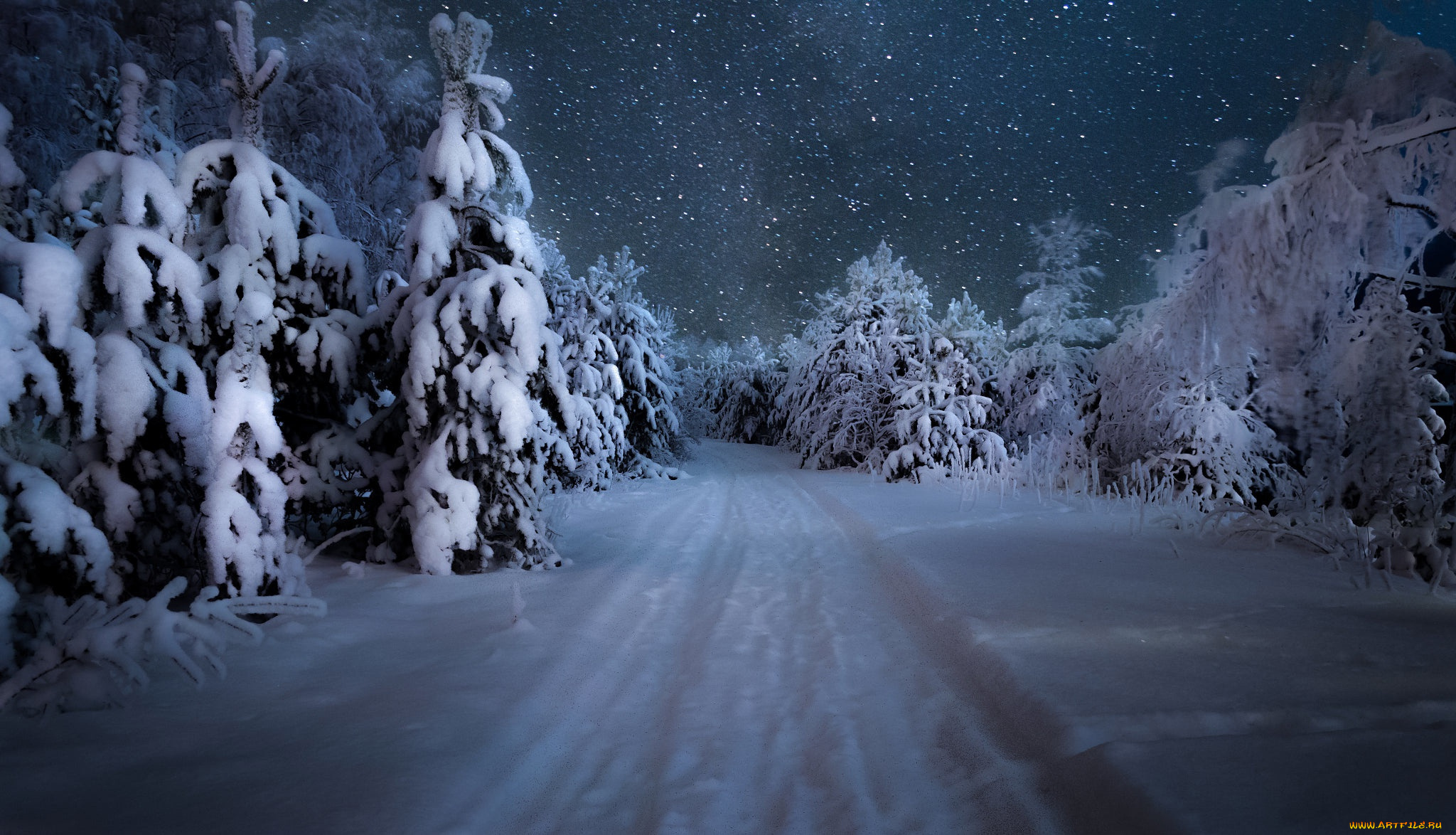 природа, дороги, лес, сугробы, снег, зима, дорога, деревья, снежинки, ночь, небо