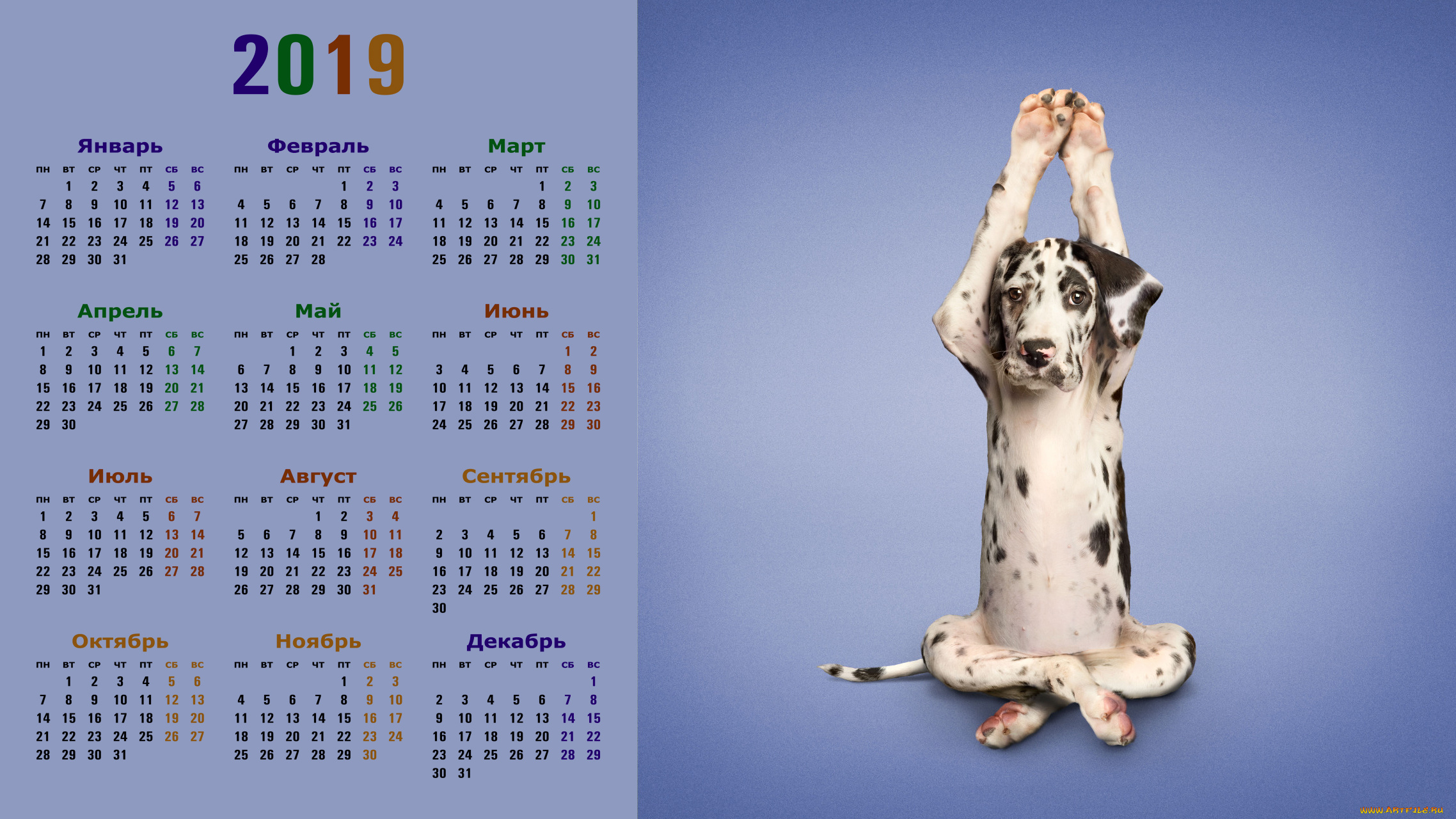 календари, животные, упражнение, собака, взгляд