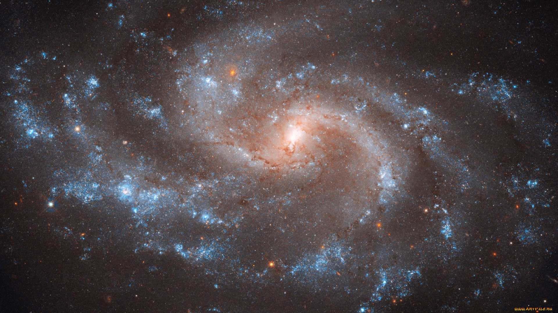 ngc, 5584, космос, галактики, туманности