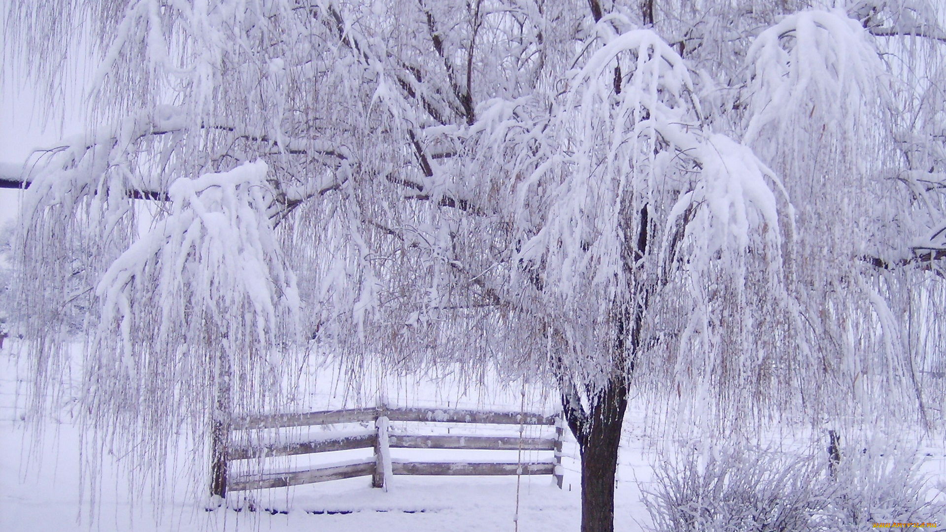 природа, зима, снег, забор, деревья
