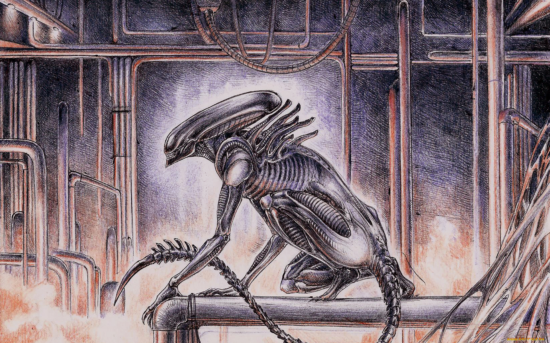 рисованные, комиксы, alien, чужой