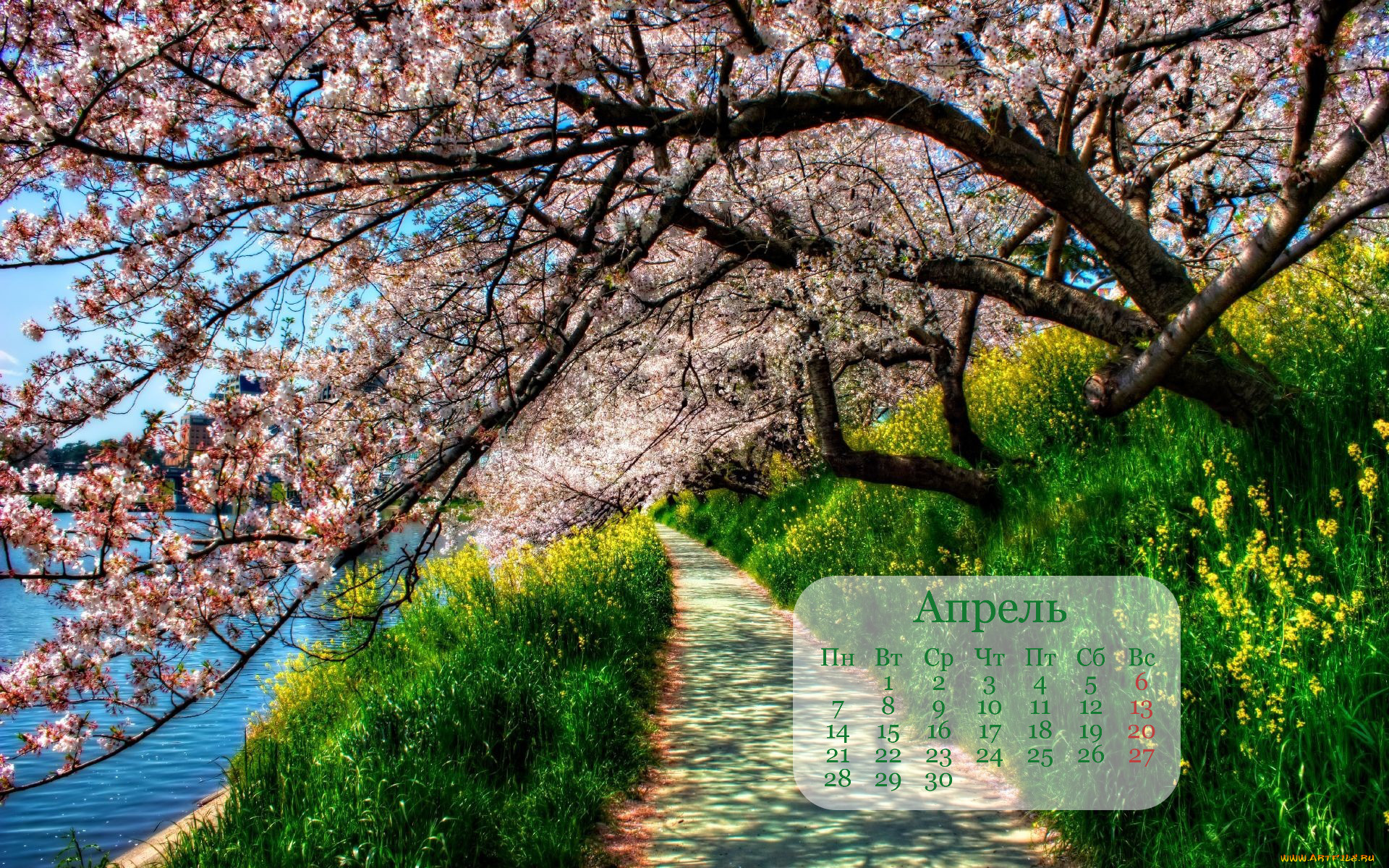 календари, природа, дерево