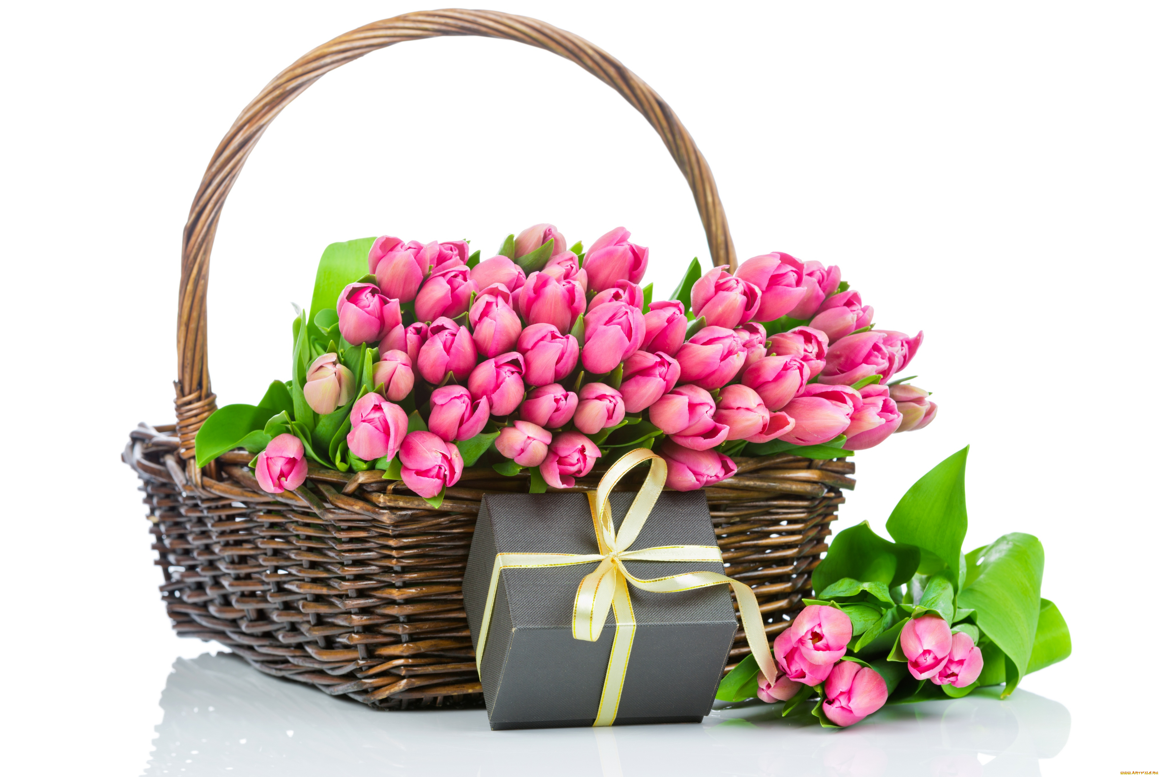 цветы, тюльпаны, букет, подарок