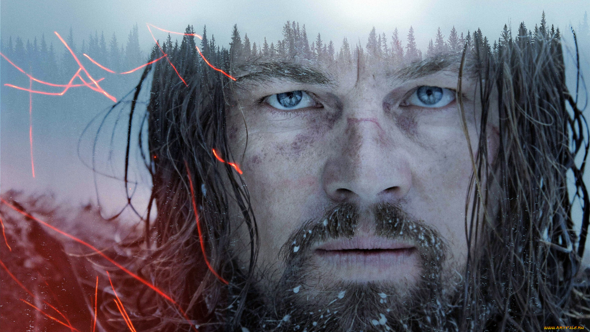 the, revenant, кино, фильмы, leonardo, dicaprio