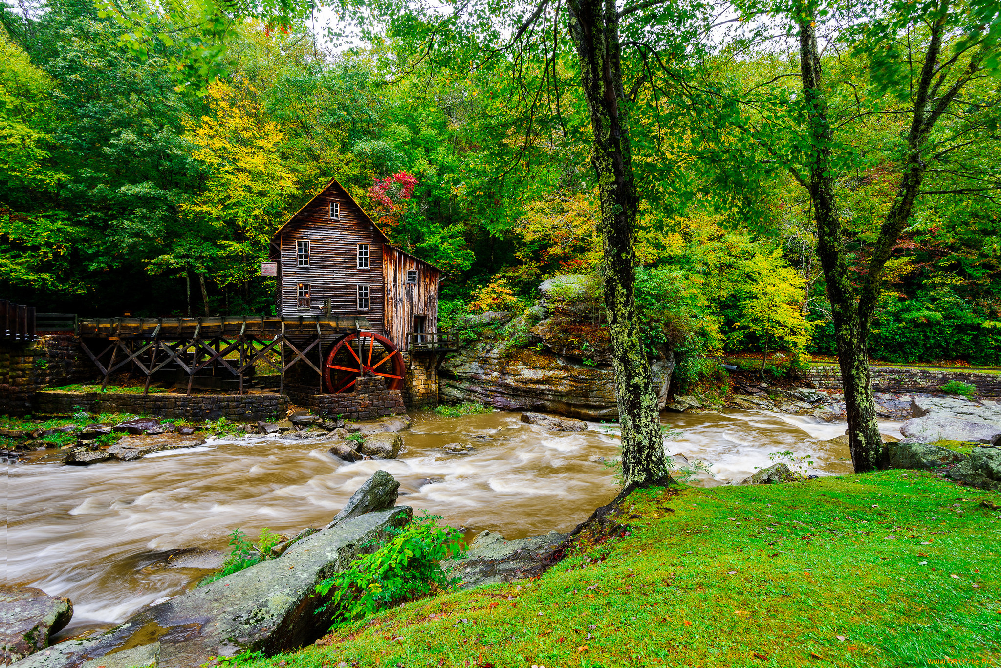 разное, мельницы, лес, река