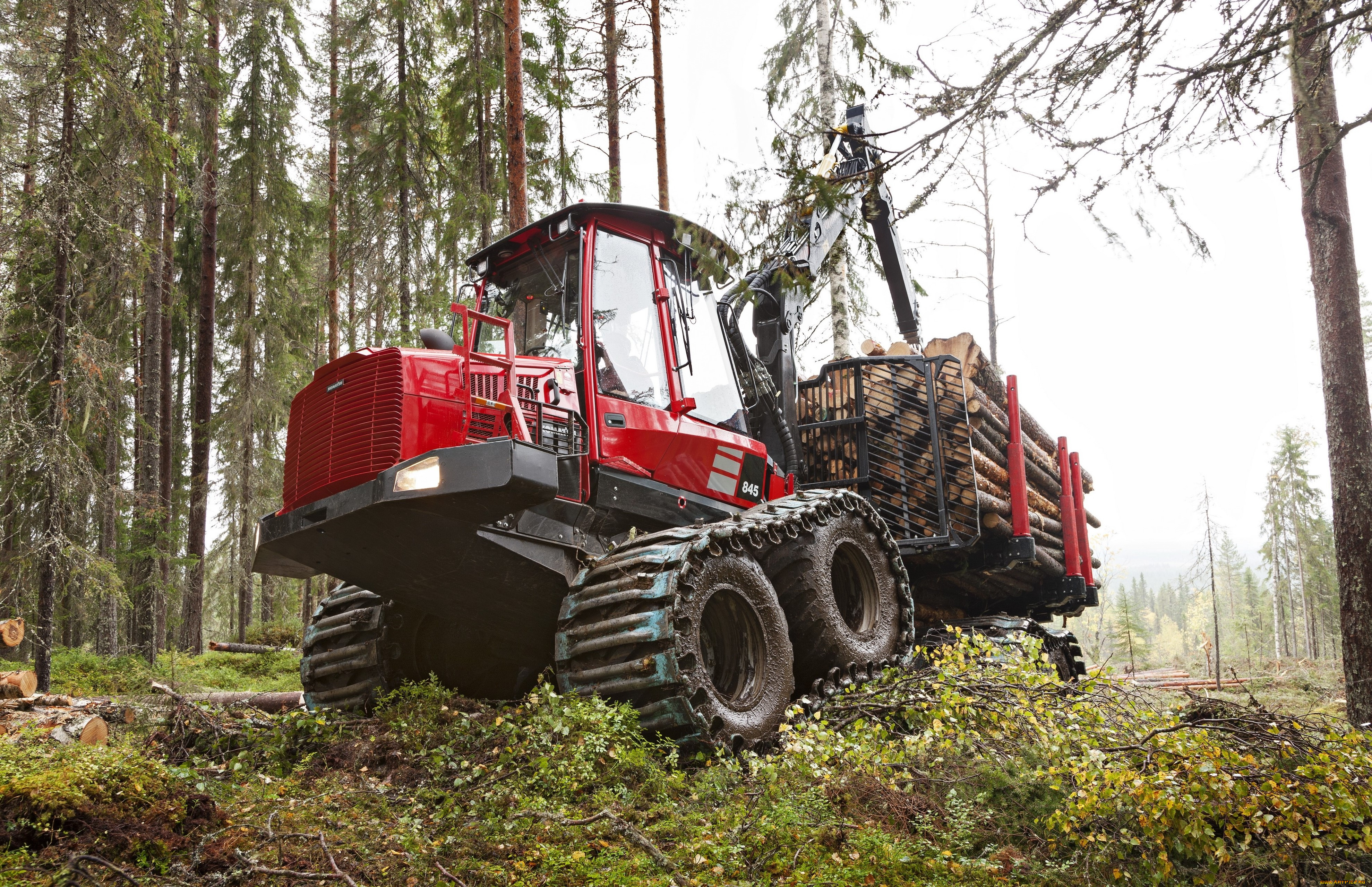 техника, лесоповалочная, техника, komatsu