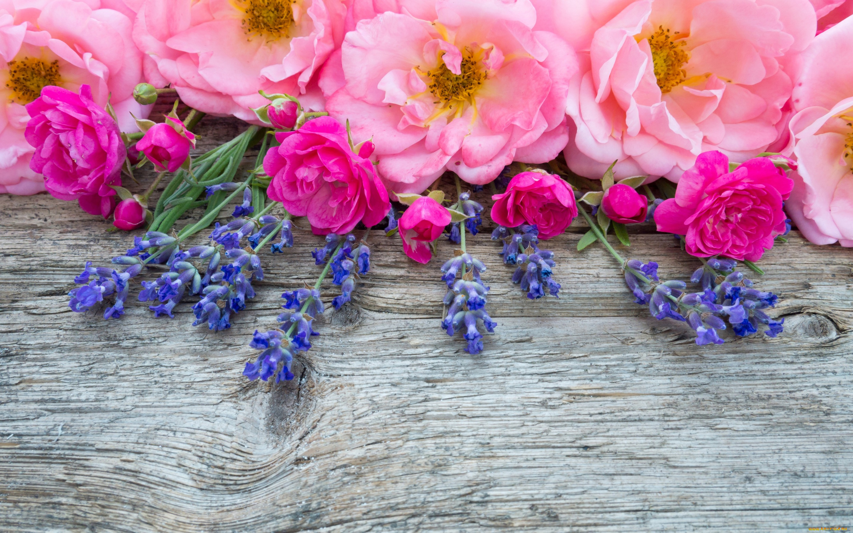 цветы, букеты, , композиции, бутоны, розовые, wood, pink, лаванда, bud, flowers