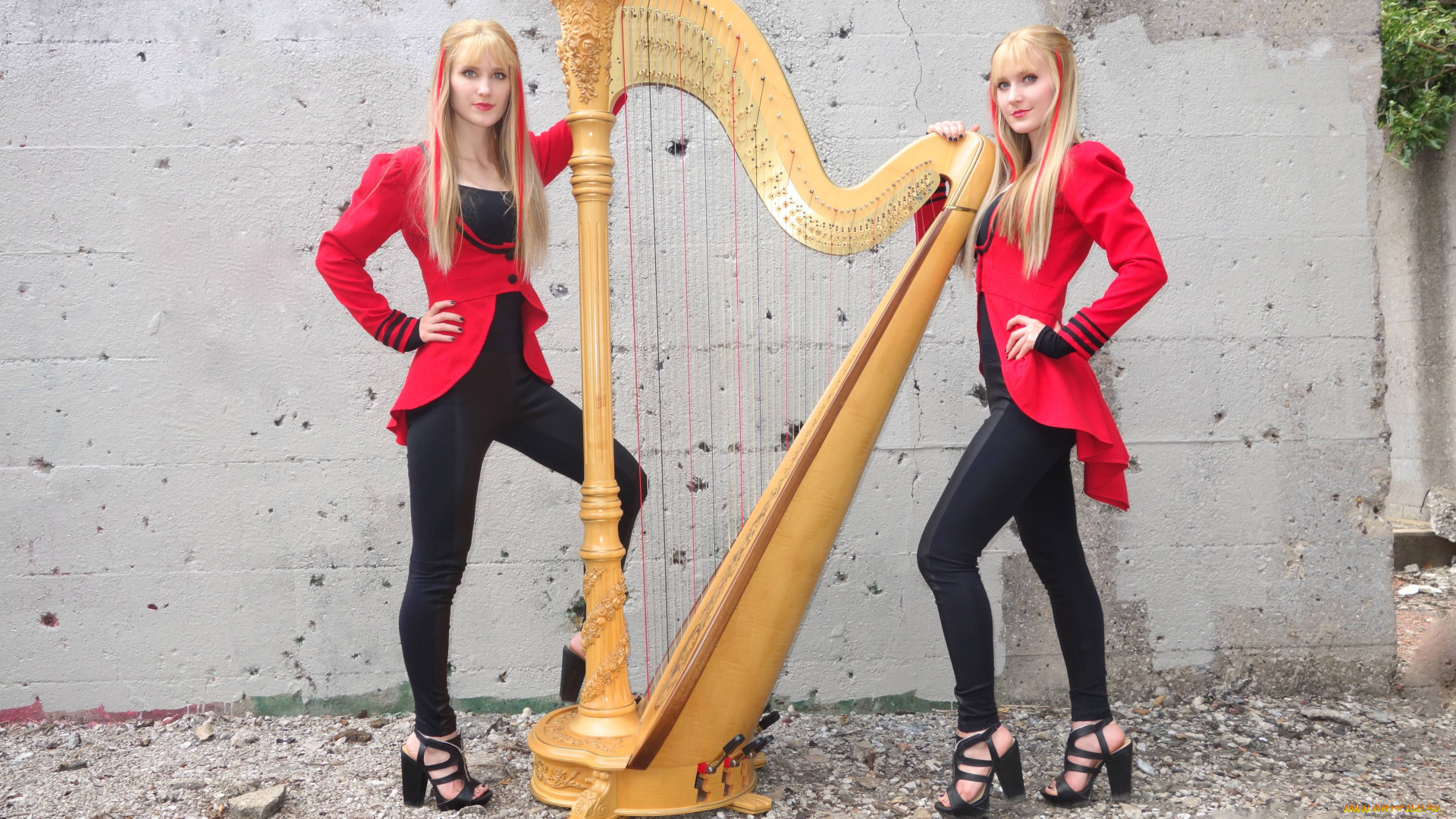 девушка, музыка, harp, twins, модель