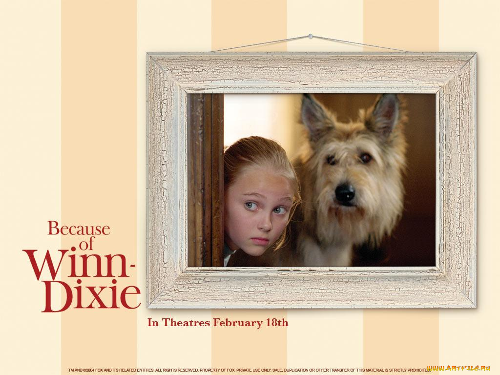 кино, фильмы, because, of, winn, dixie