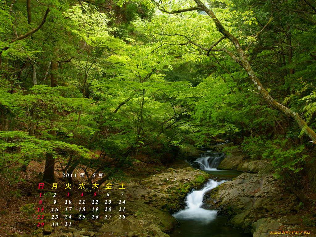 календари, природа