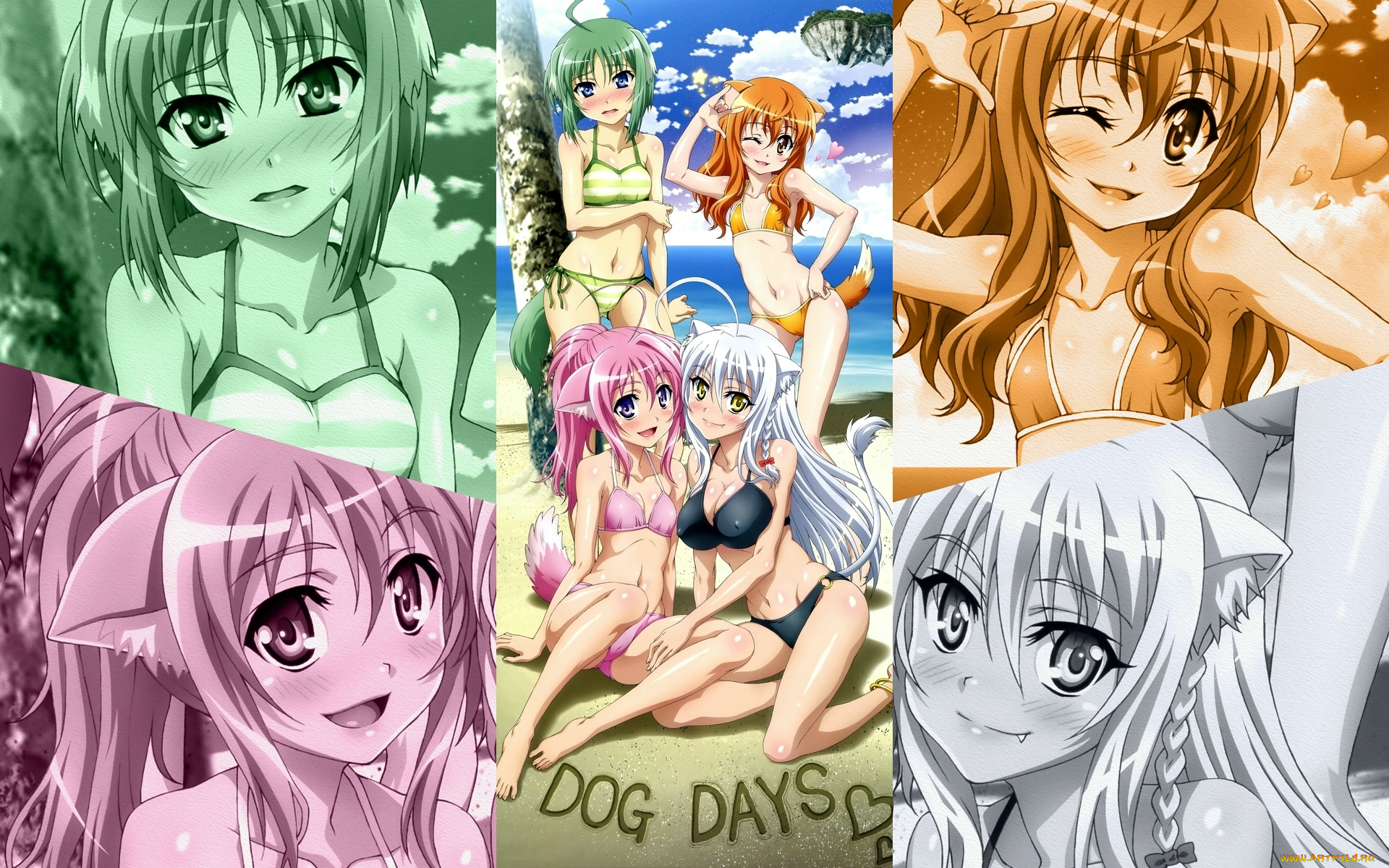аниме, dog, days