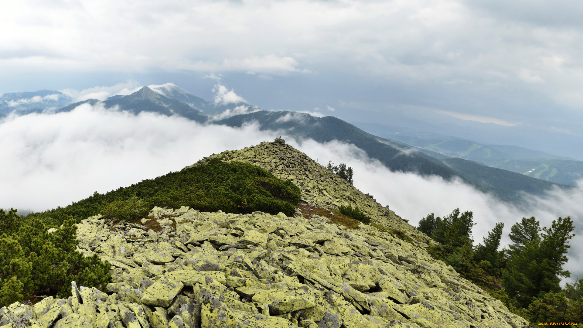 украина, закарпатье, природа, горы, дымка