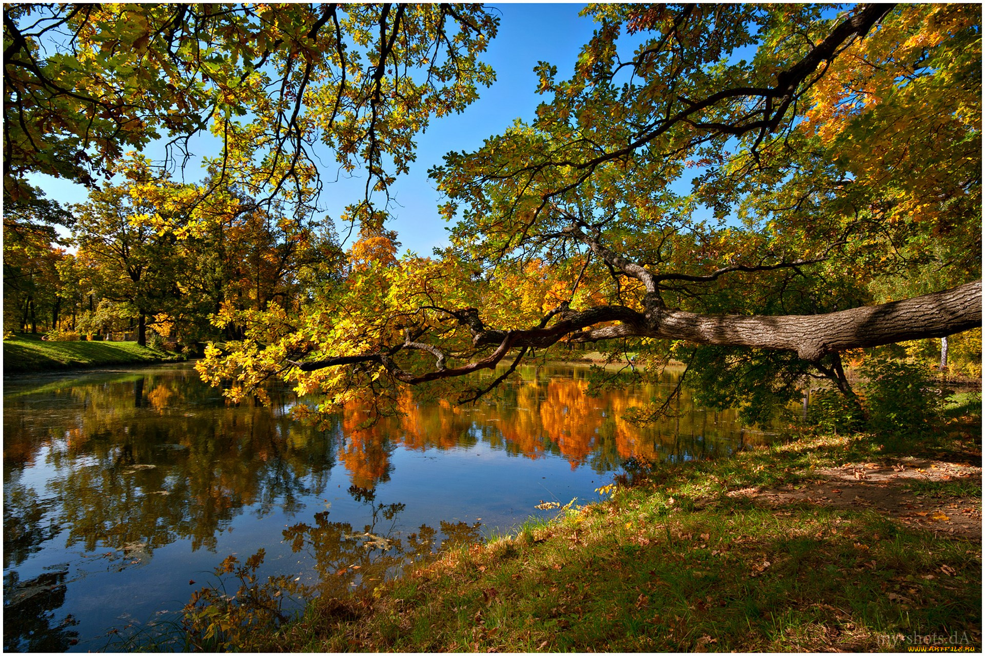 природа, реки, озера, осень, пруд, деревья, пейзаж