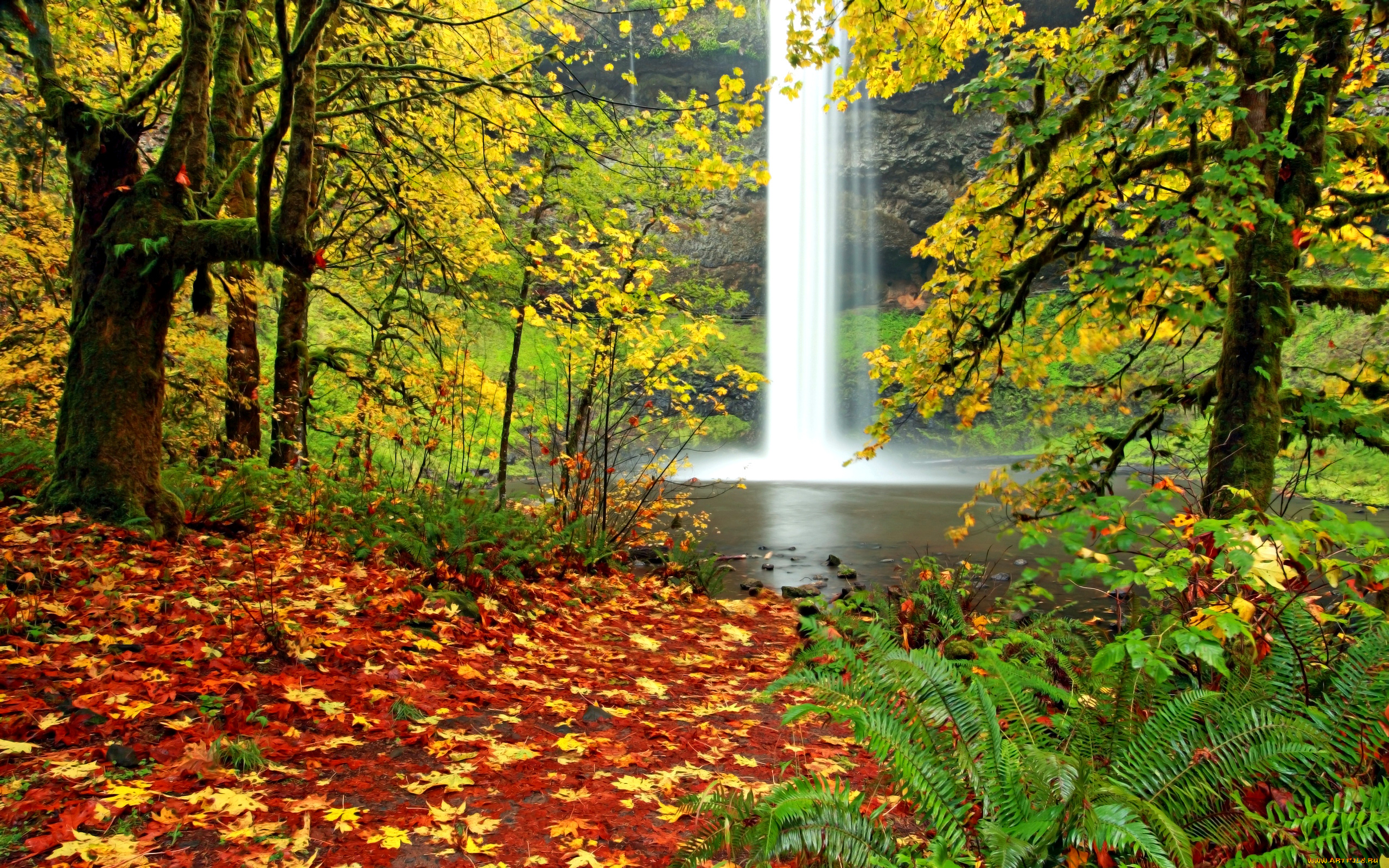 природа, водопады, водопад, река, листва, осень, лес