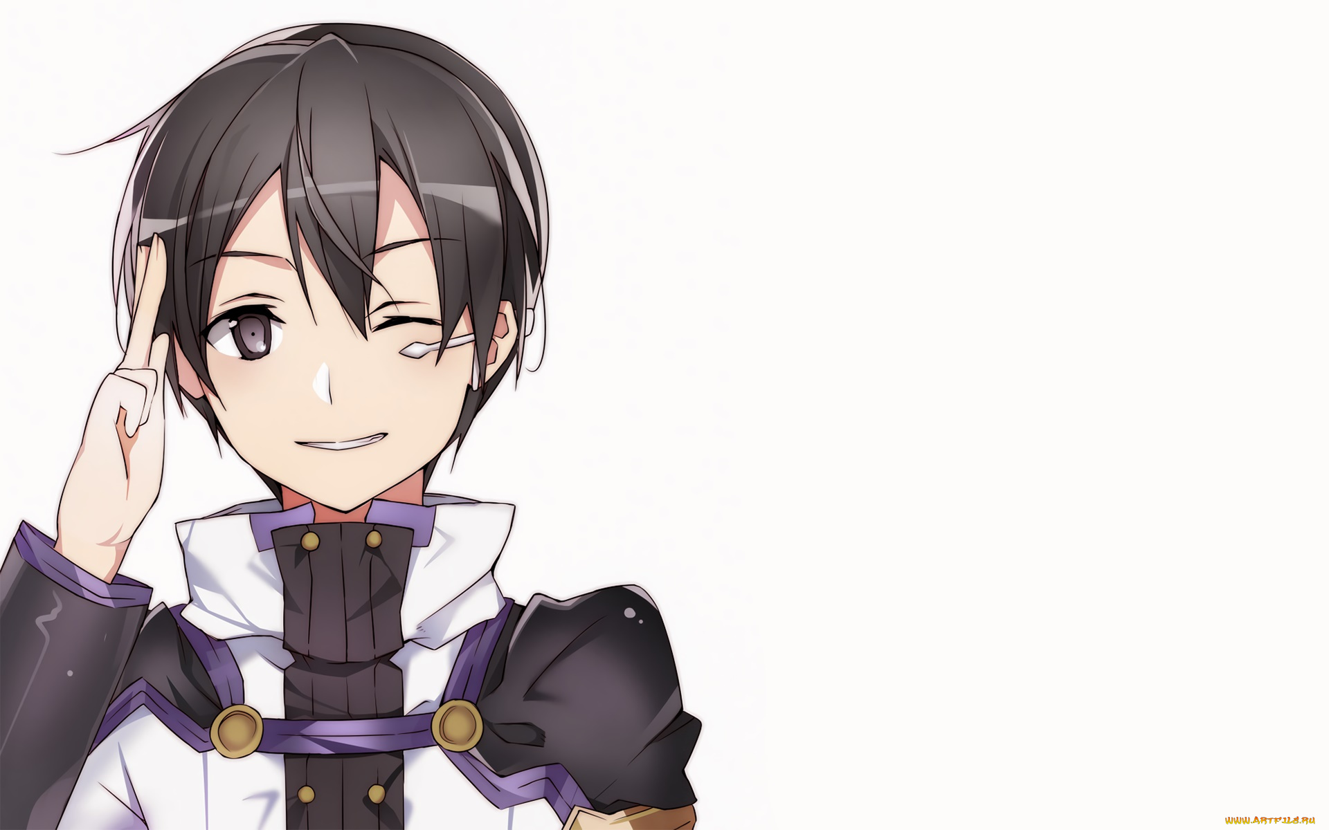 Sword Art online Alicization Kirito