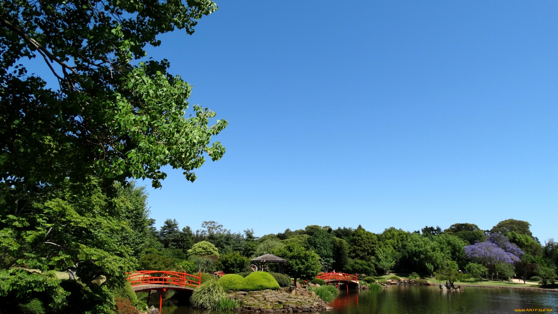 природа, парк, садик, японский, водоем