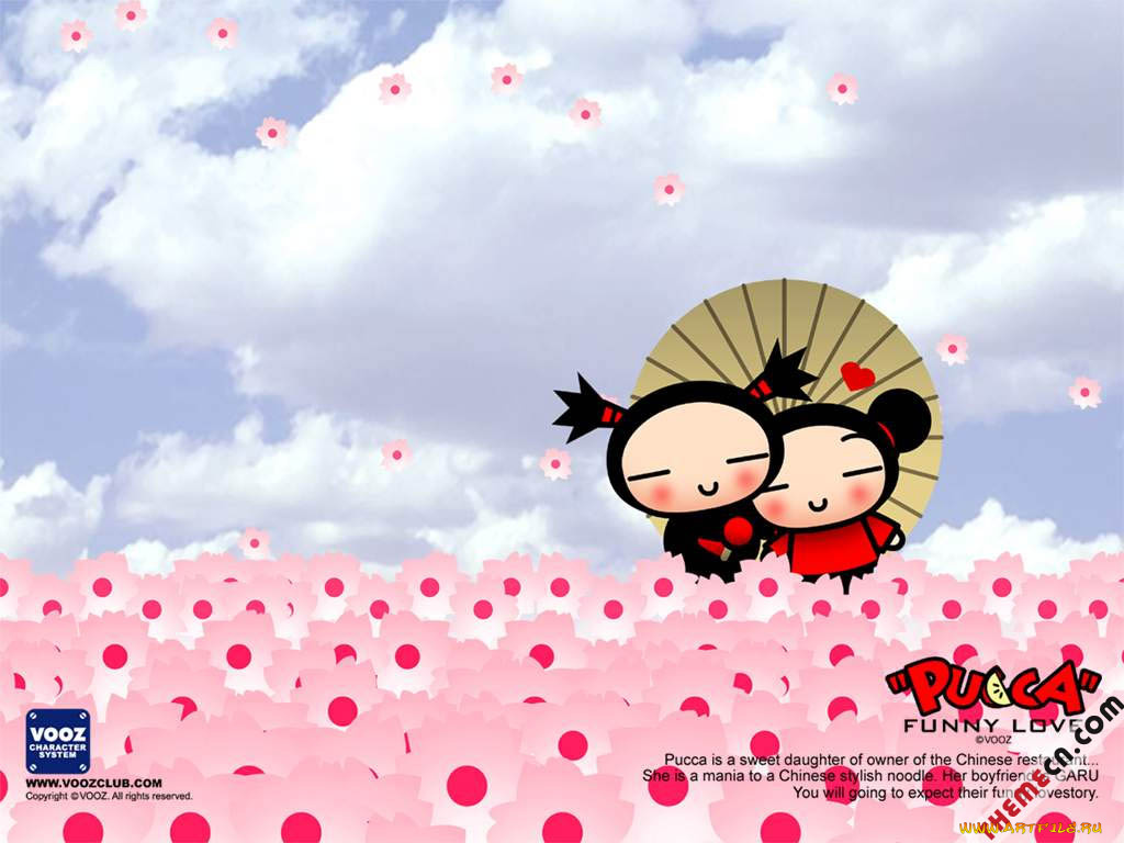 мультфильмы, pucca