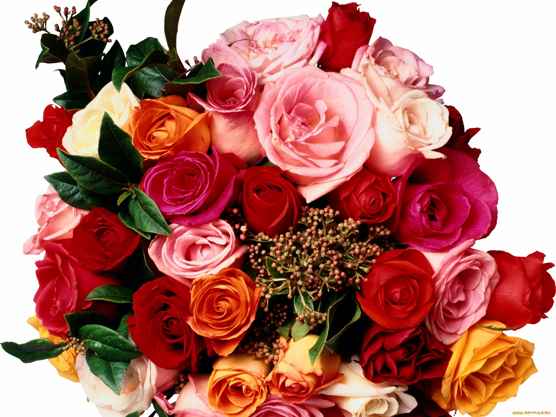 Красивые розы букеты с пожеланиями. Букет шикарный. Роскошные цветы. Шикарные цветы. Роскошный букет цветов.
