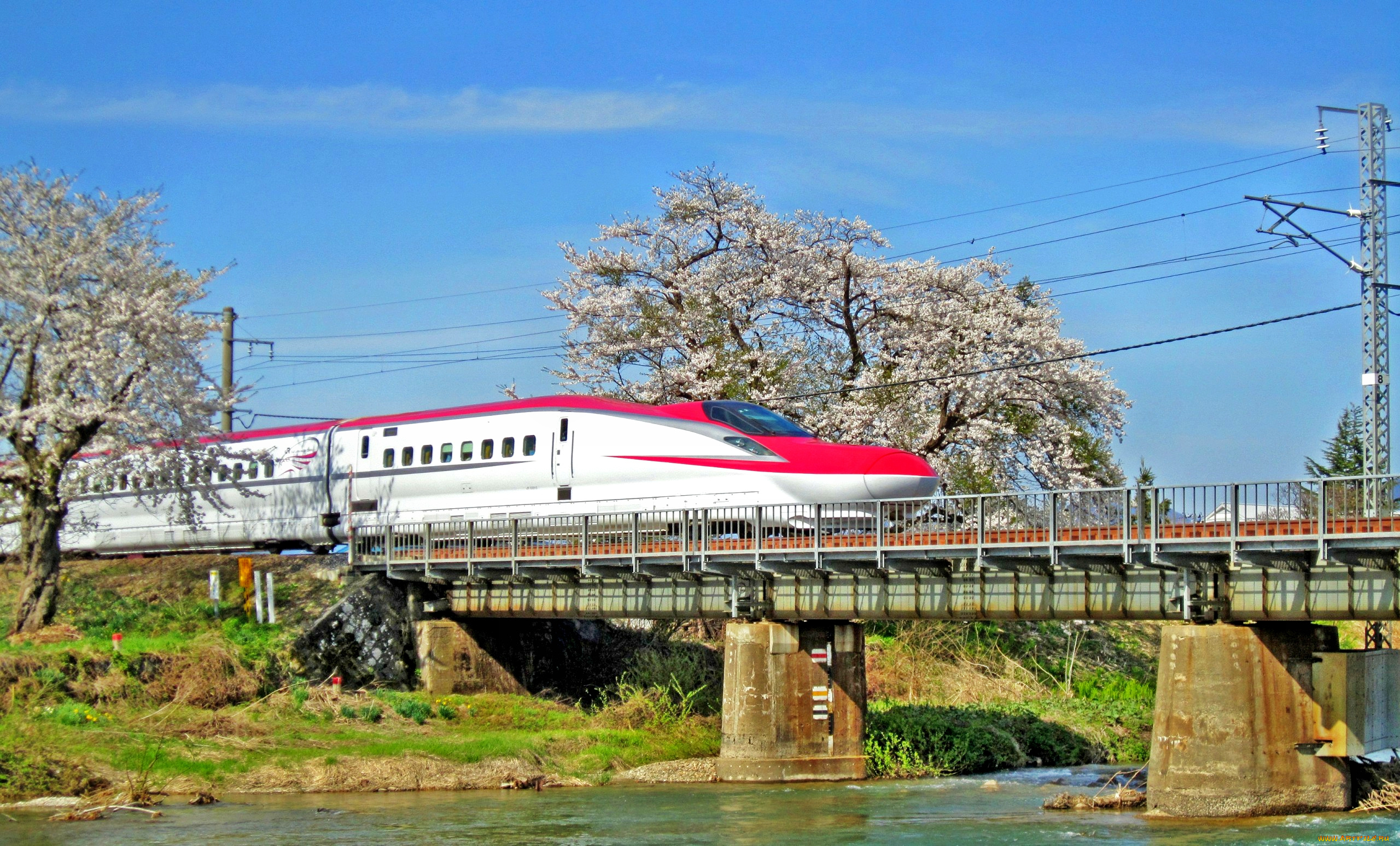 Поезд над рекой. Речной поезд. Река поезд. Поезд на реке в Японии.