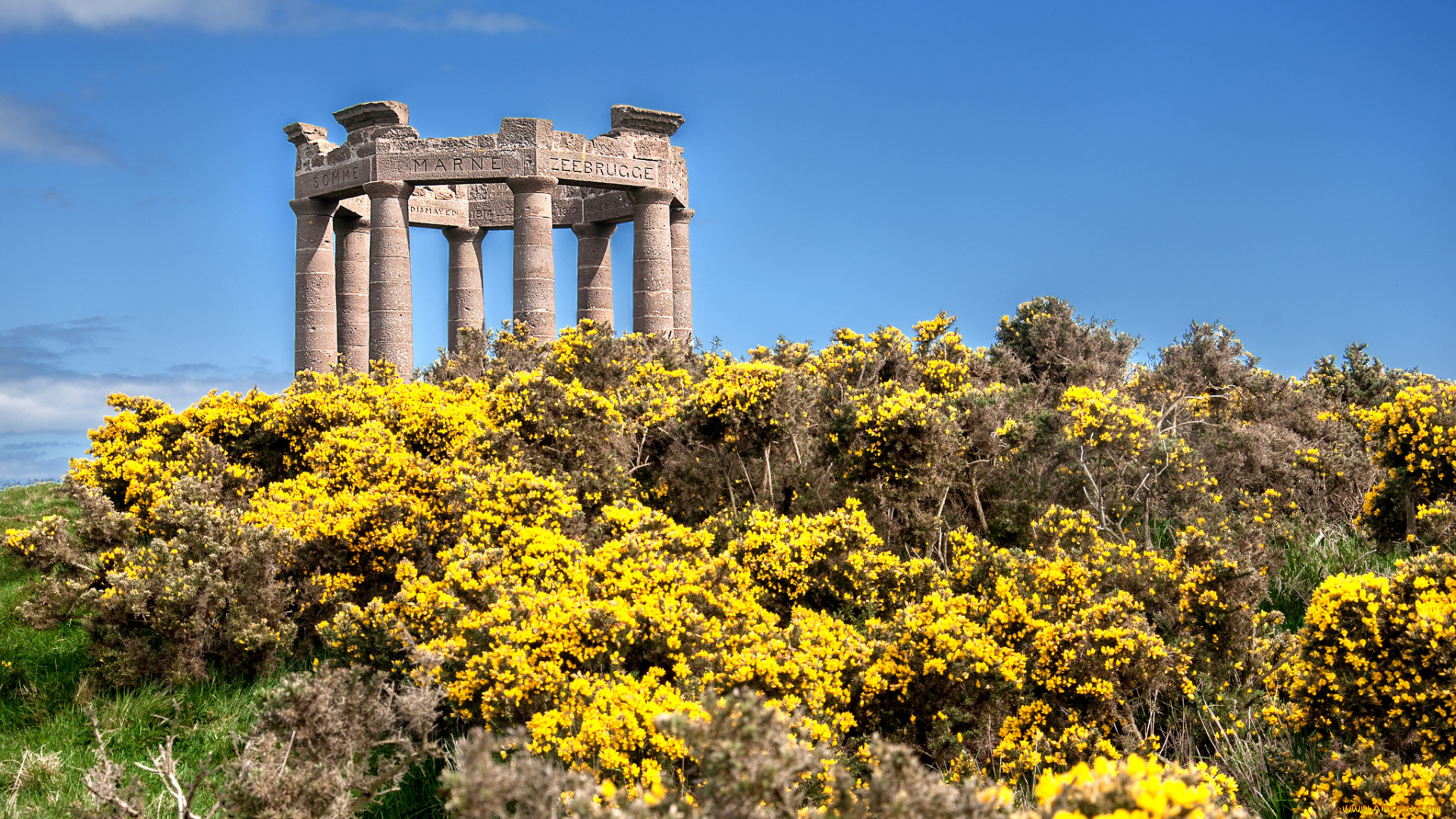 stonehaven, war, memorial, , scotland, города, -, памятники, , скульптуры, , арт-объекты, луг, цветы, мемориал